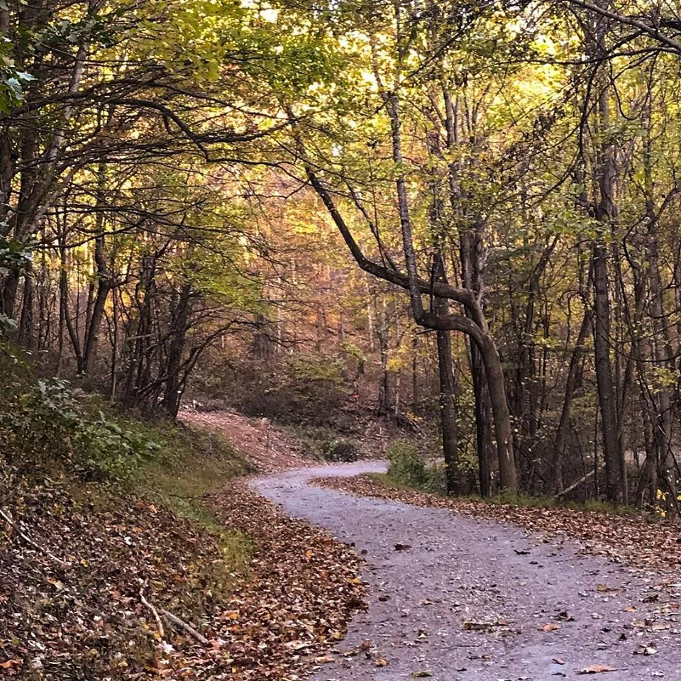 Down Country Roads, The Roads Less Traveled