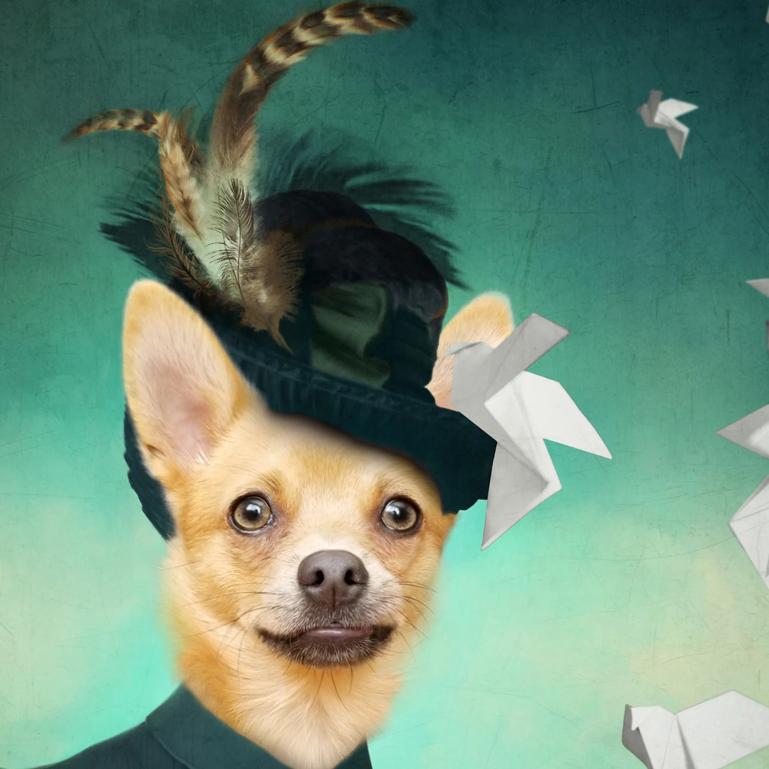 Knowledge_ForDogs_Fleur_Closeup_by_Laura_Cole_Web.jpg