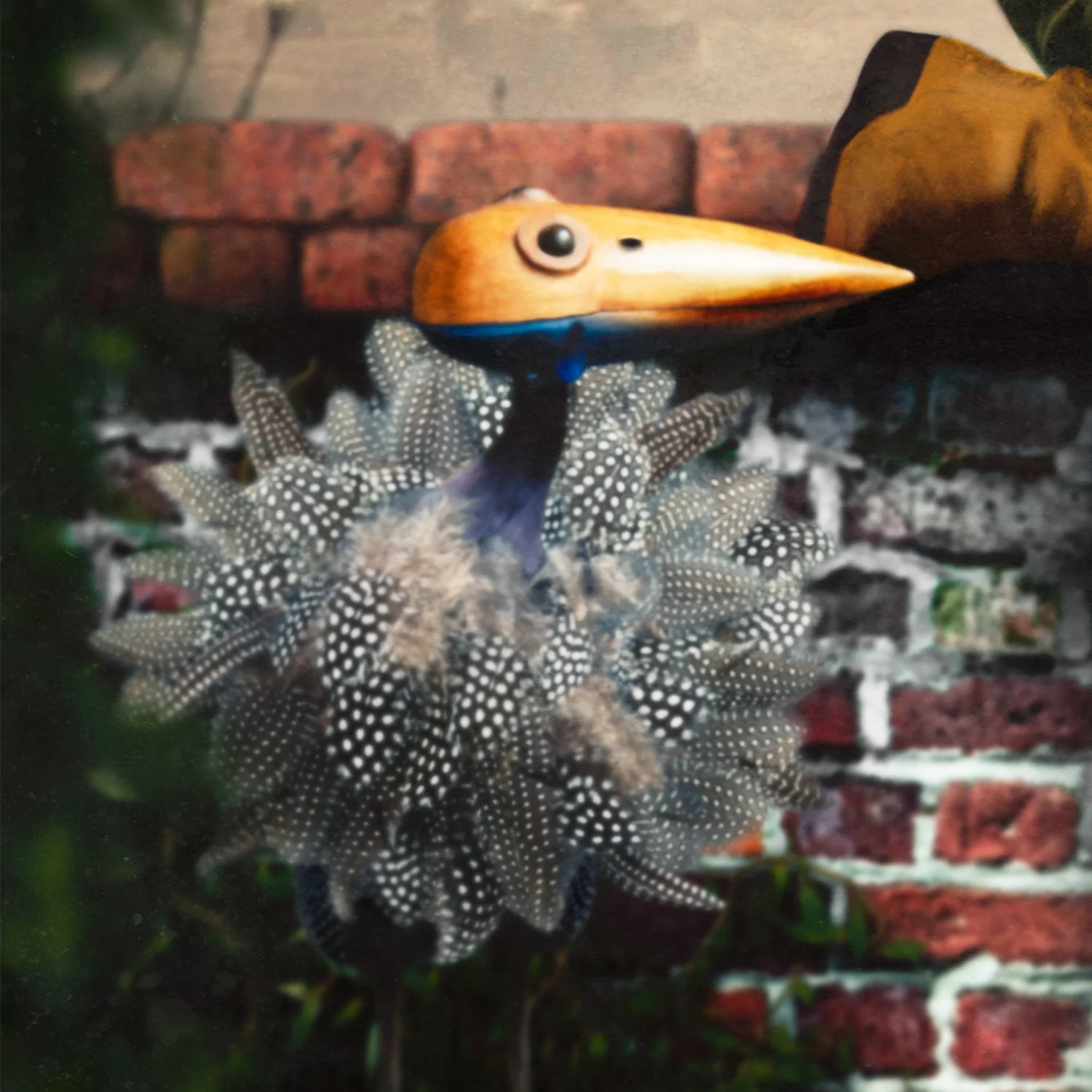 Humpty_Dumpty_Borogove_Closeup_by_Laura_Cole_Web.jpg