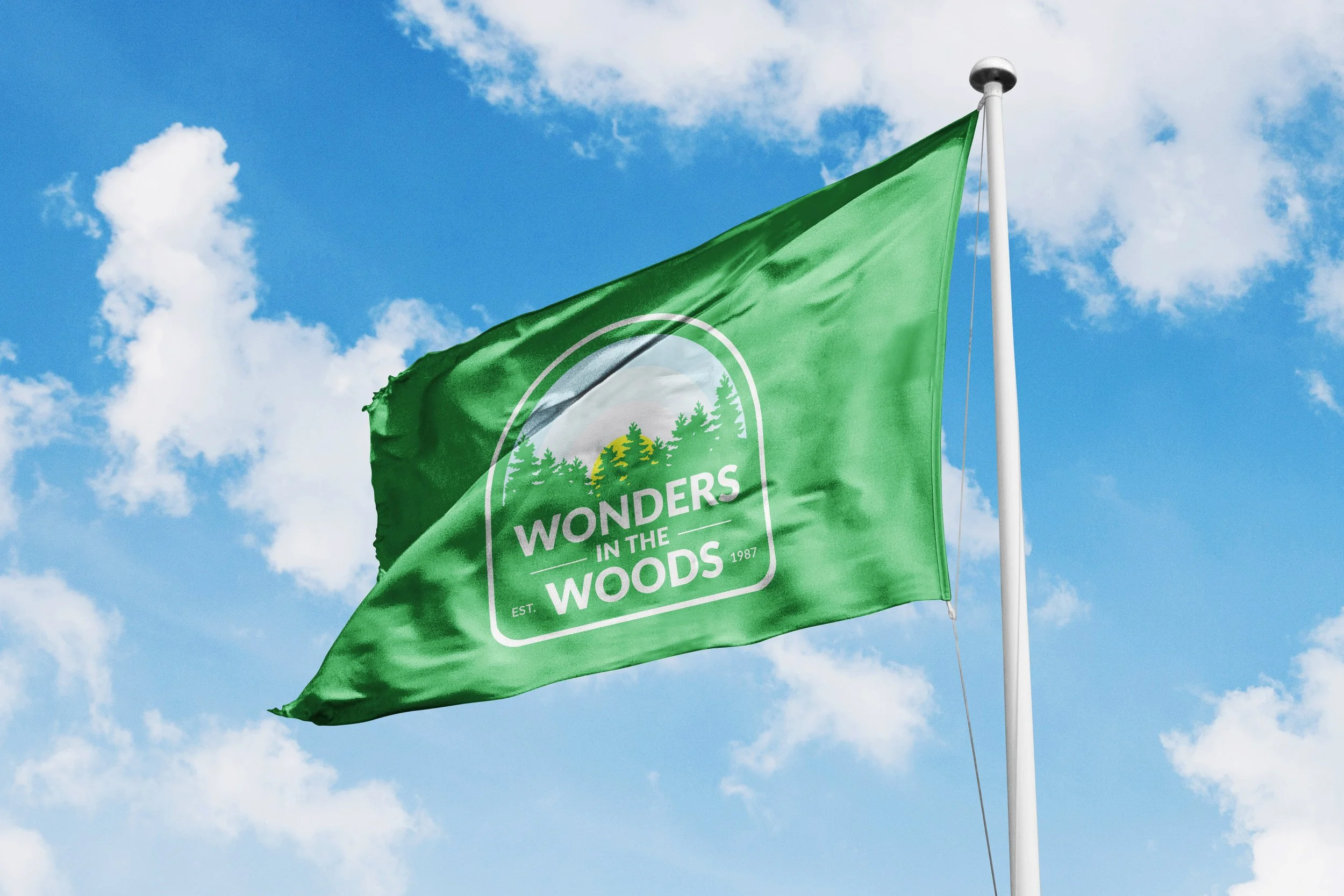 Realistic Flag Mockup.jpg