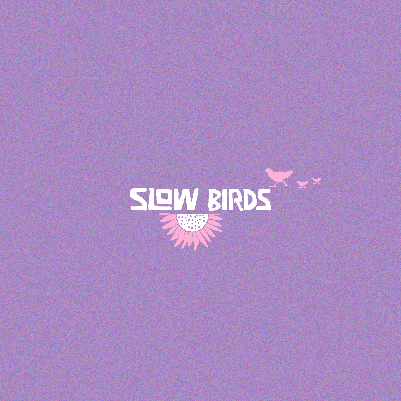 Slow Bird Thumbnail.gif