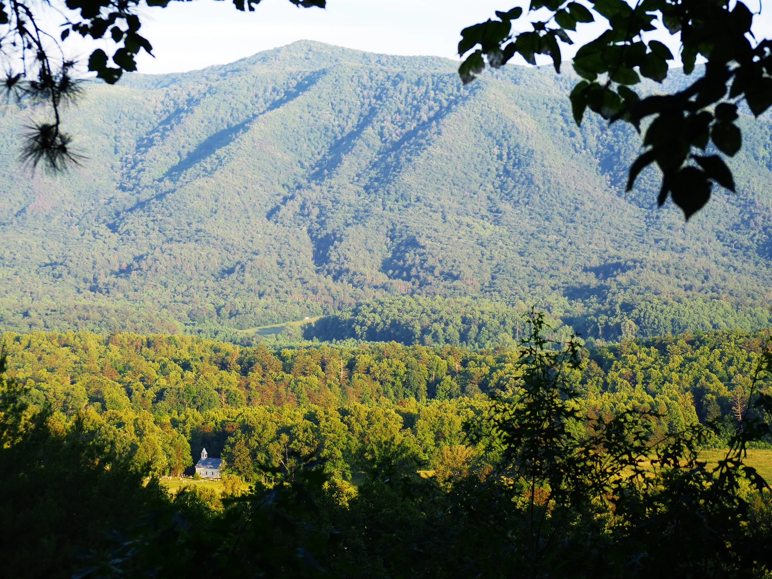 Smoky Mountains Cades Cove Safari — Adventure RollOut
