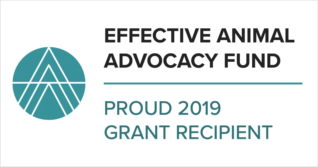 Food for Thought Awarded Effective Animal Advocacy Grant