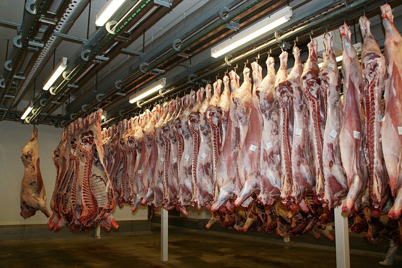 Meat Slaughterhouse. Photo by  Jai79 from Pixabay .