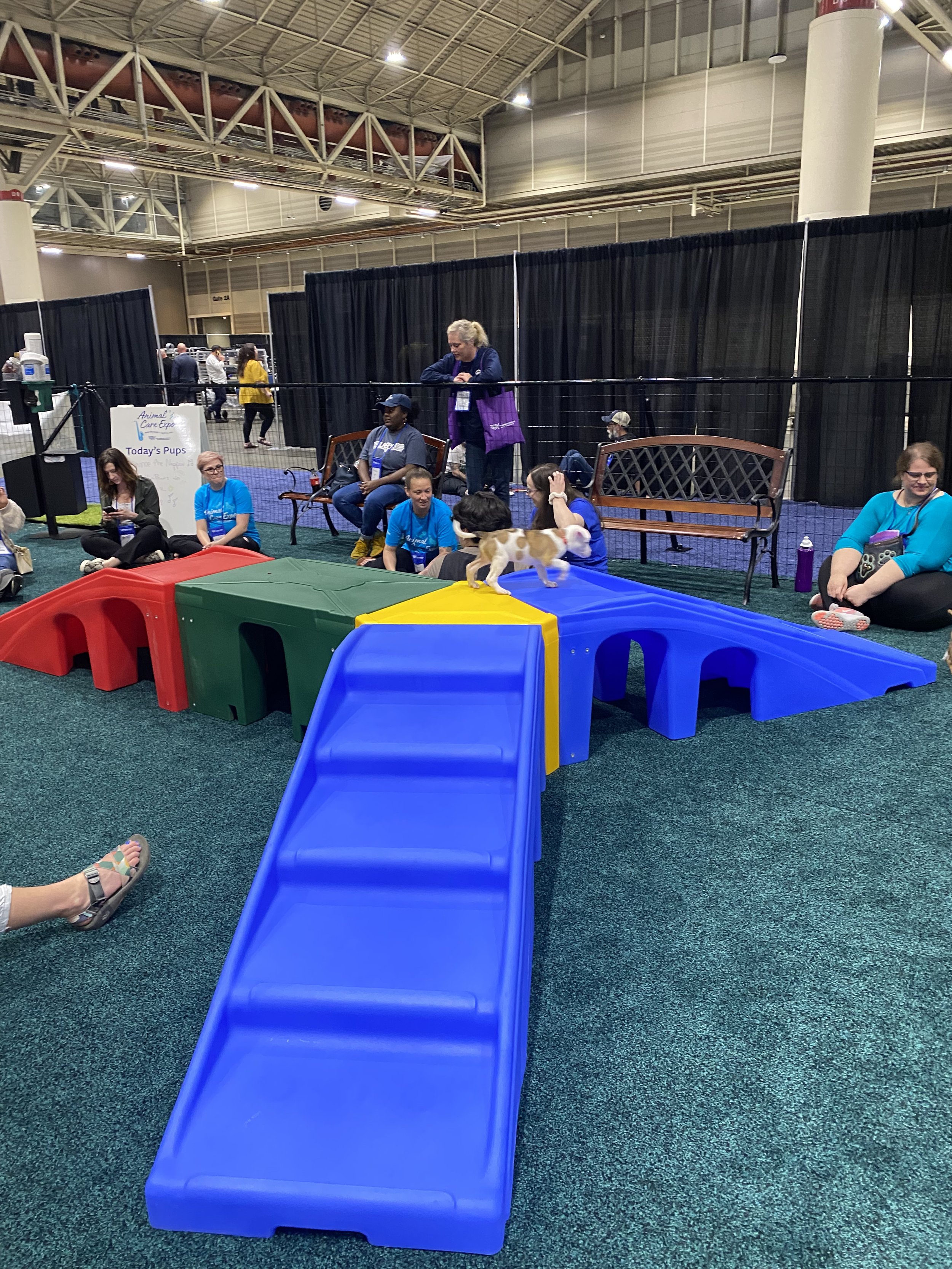 Recap HSUS Animal Care Expo 2023 — Food for Thought