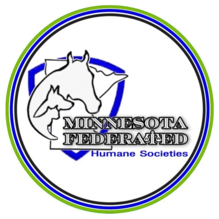 Interview: Policy Leader