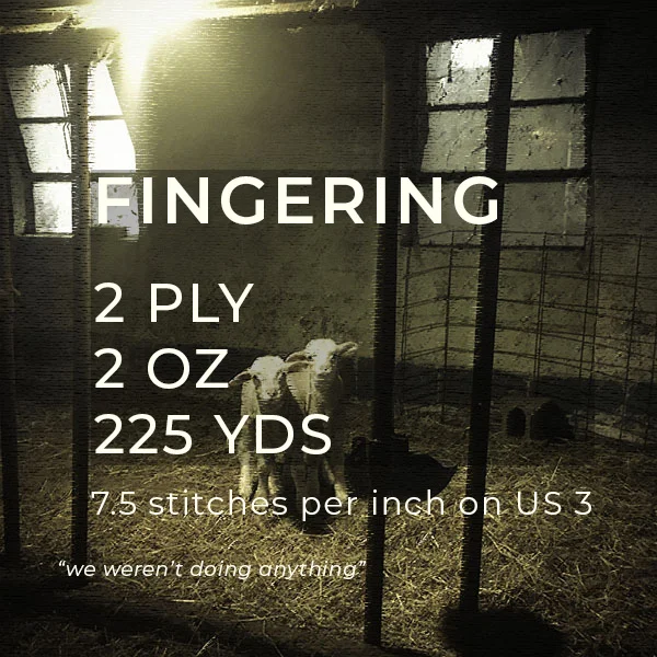 merino wool fingering weight info