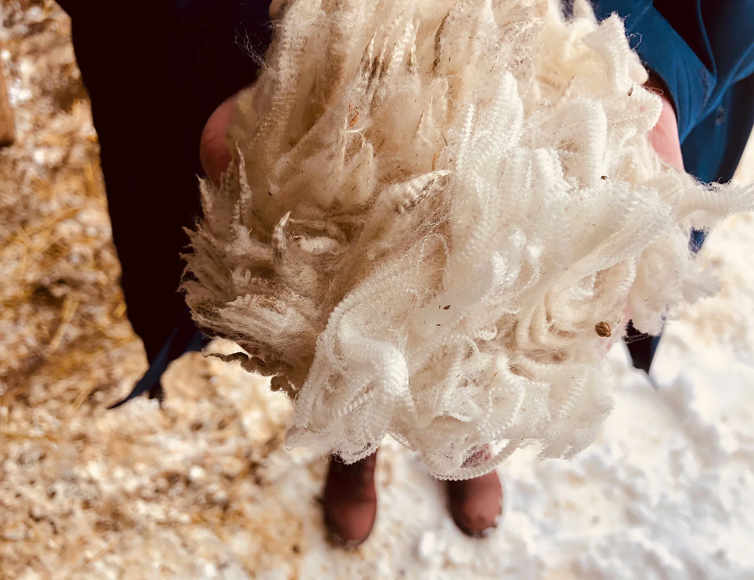 Wool straight from the sheep. Merino wool has a natural crimp to it making it strong, stretchy and lofty.