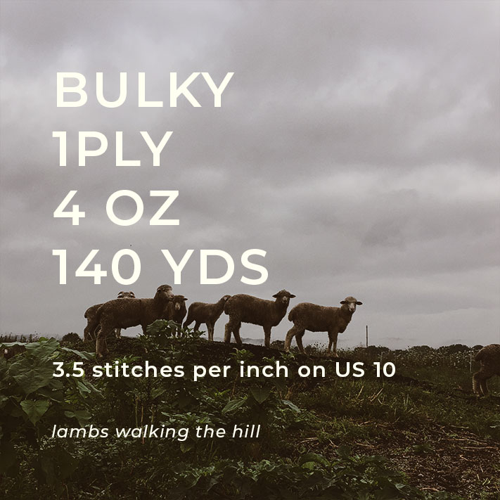 Bulky Yarn, 2019 — Sawkill Farm