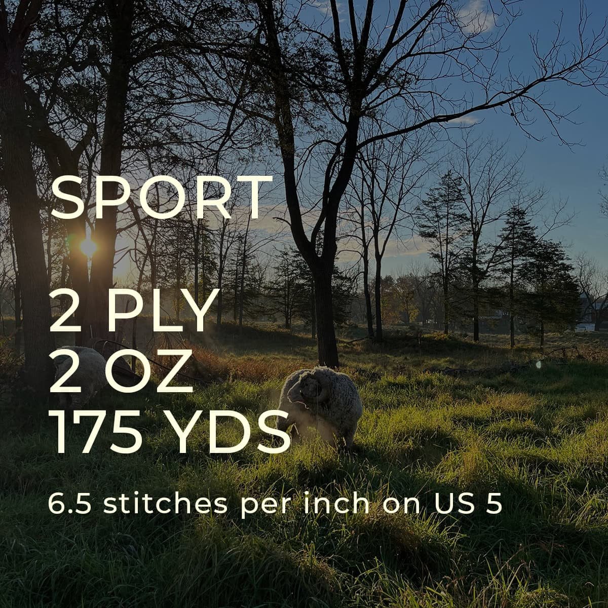 sport-details_c.jpg