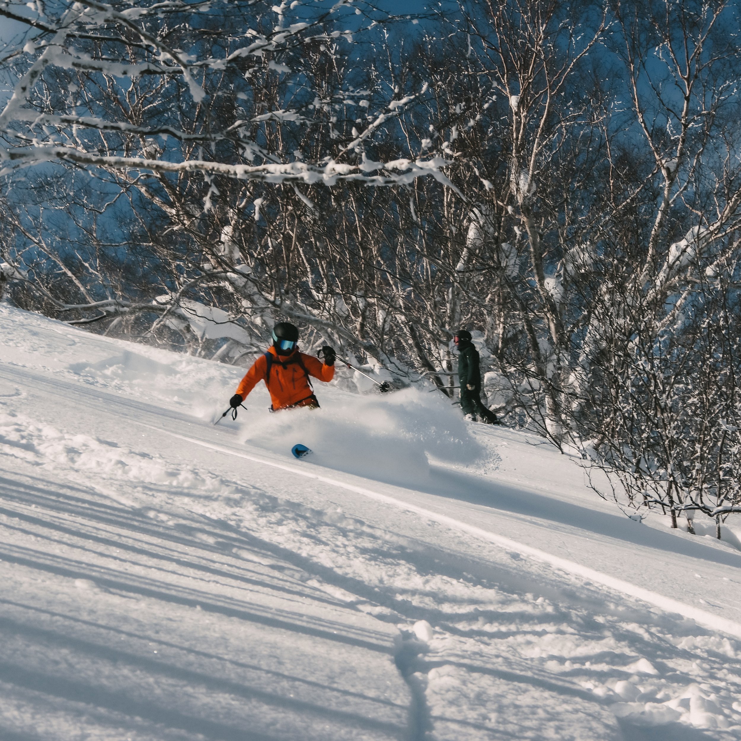 Powder like this is no longer a dream! 🌨️✨ Our unforgettable ski adventures in Japan brought those dreams to life. Want to experience it for yourself? Visit the link in our bio for more information. Let&rsquo;s make your powder dreams a reality!
.
.