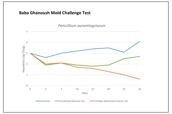 Chiber™ - Baba Ghanoush Mold Challenge Test Success