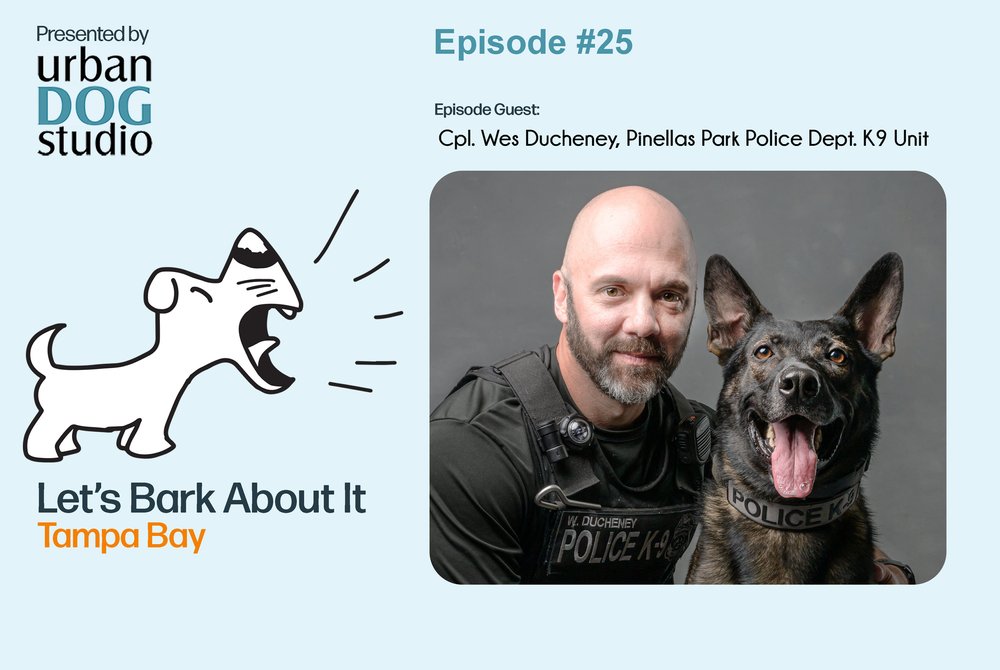 LET'S BARK ABOUT IT PODCAST — Urban Dog Studio, St Petersburg • Tampa Bay