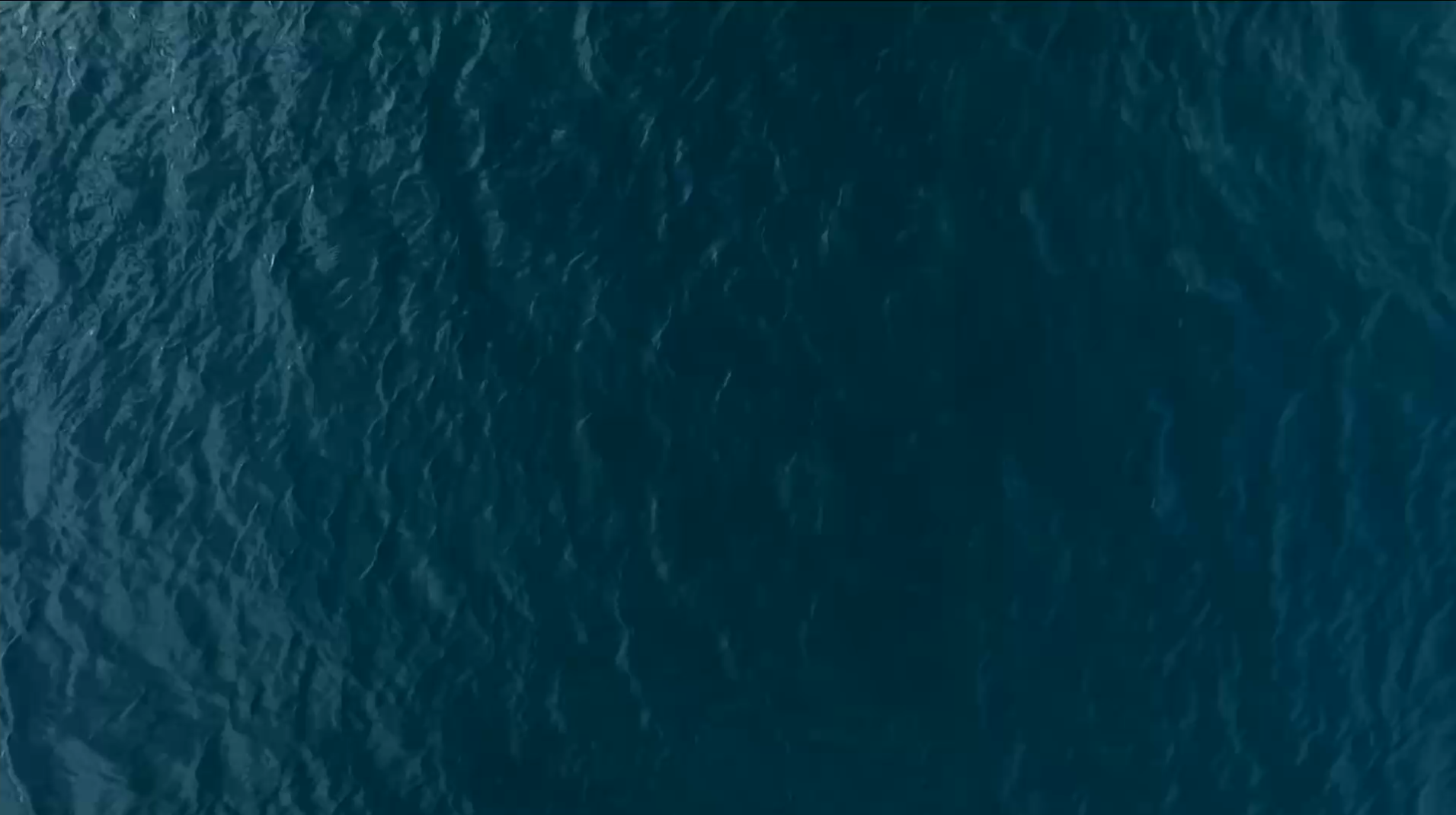 2019-04-09_10h57_29.png