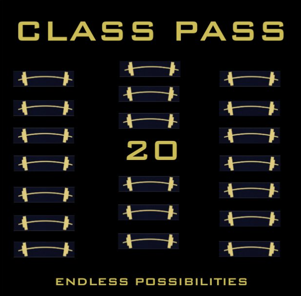 20 Class Punch Card