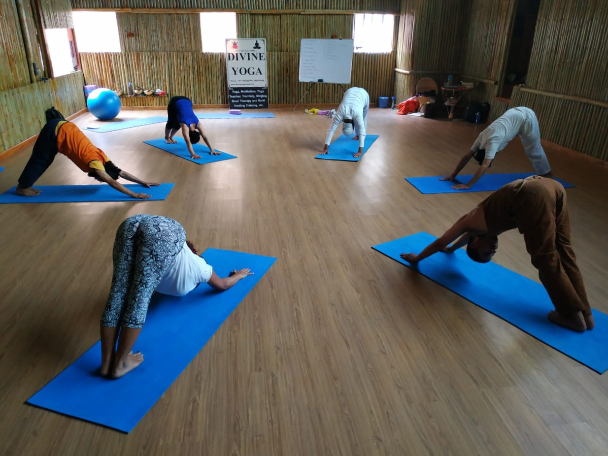 Divine yoga#YTTC.jpg