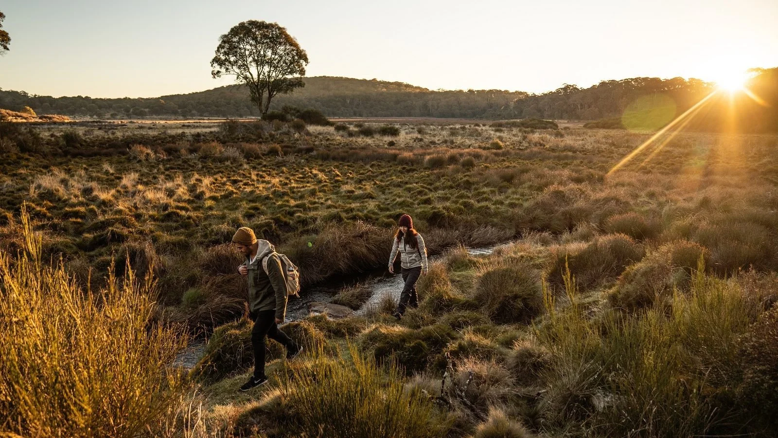Barrington-Tops-Robert-Mullally-NSW-National-Parks-Restricted-Must-credit-4.jpg