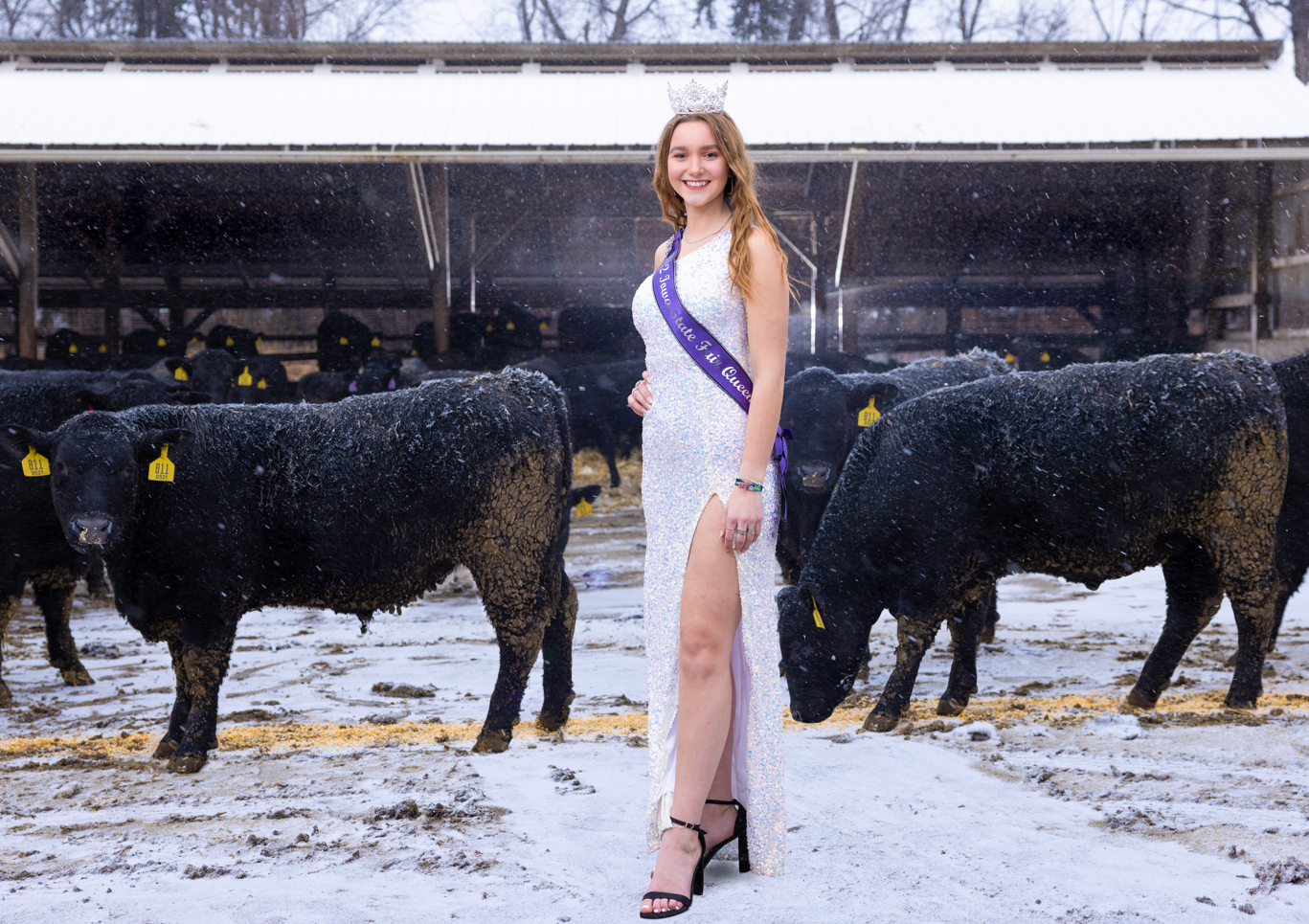 Mary Ann Fox: Get Comfortable Being Uncomfortable!