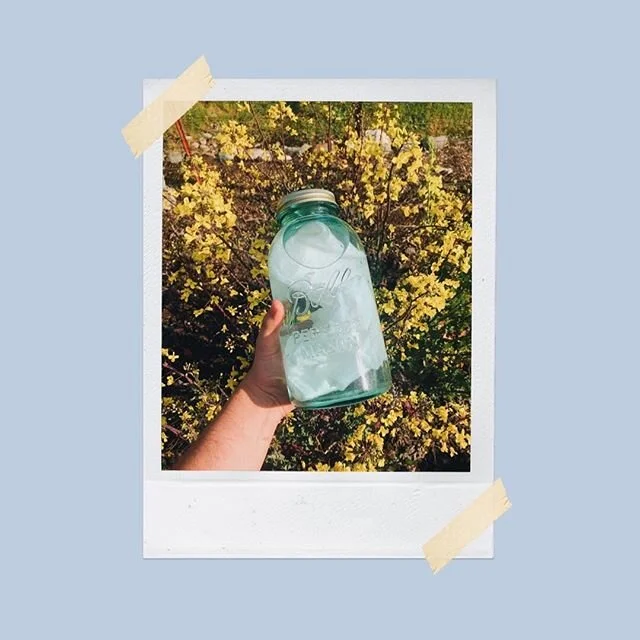 Starting to experiment with natural dyes! All wax wraps will be made with organic cotton, and various natural dyeing techniques to create unique designs and limited edition packs! Because these will be covered in wax, pine resin, etc my hope is the n