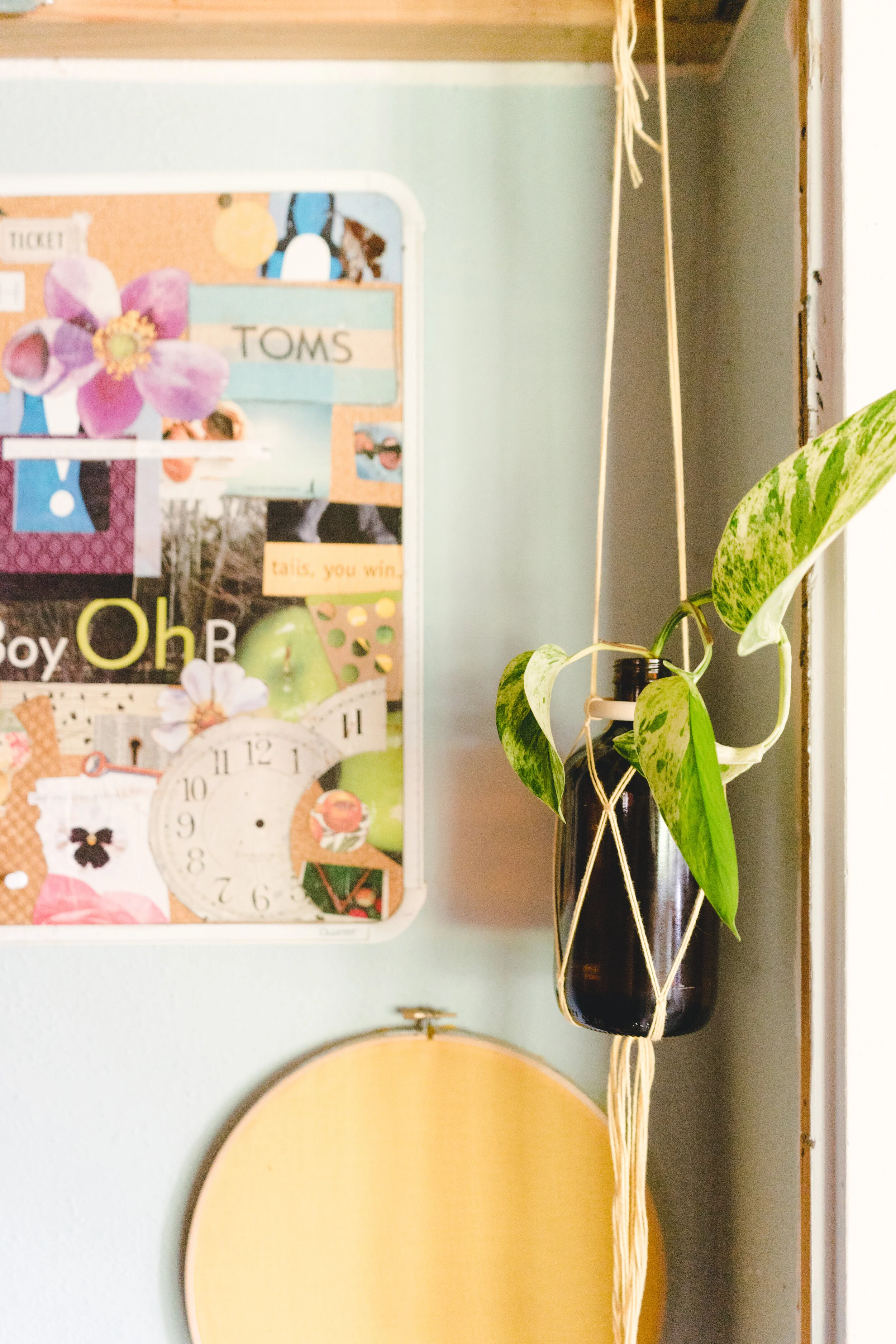 Recycled Kombucha bottle propagation macramé hanger 