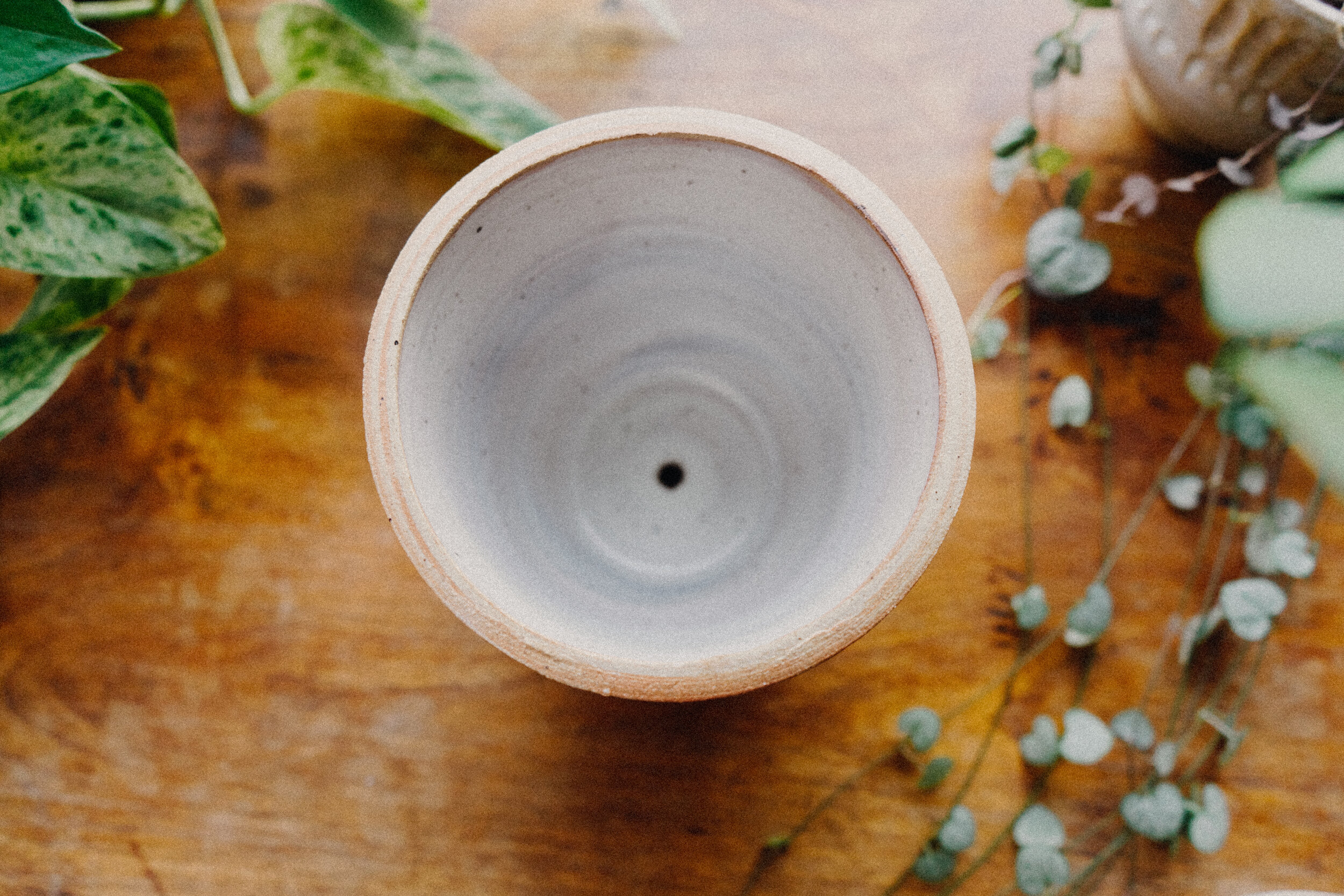 planter 2