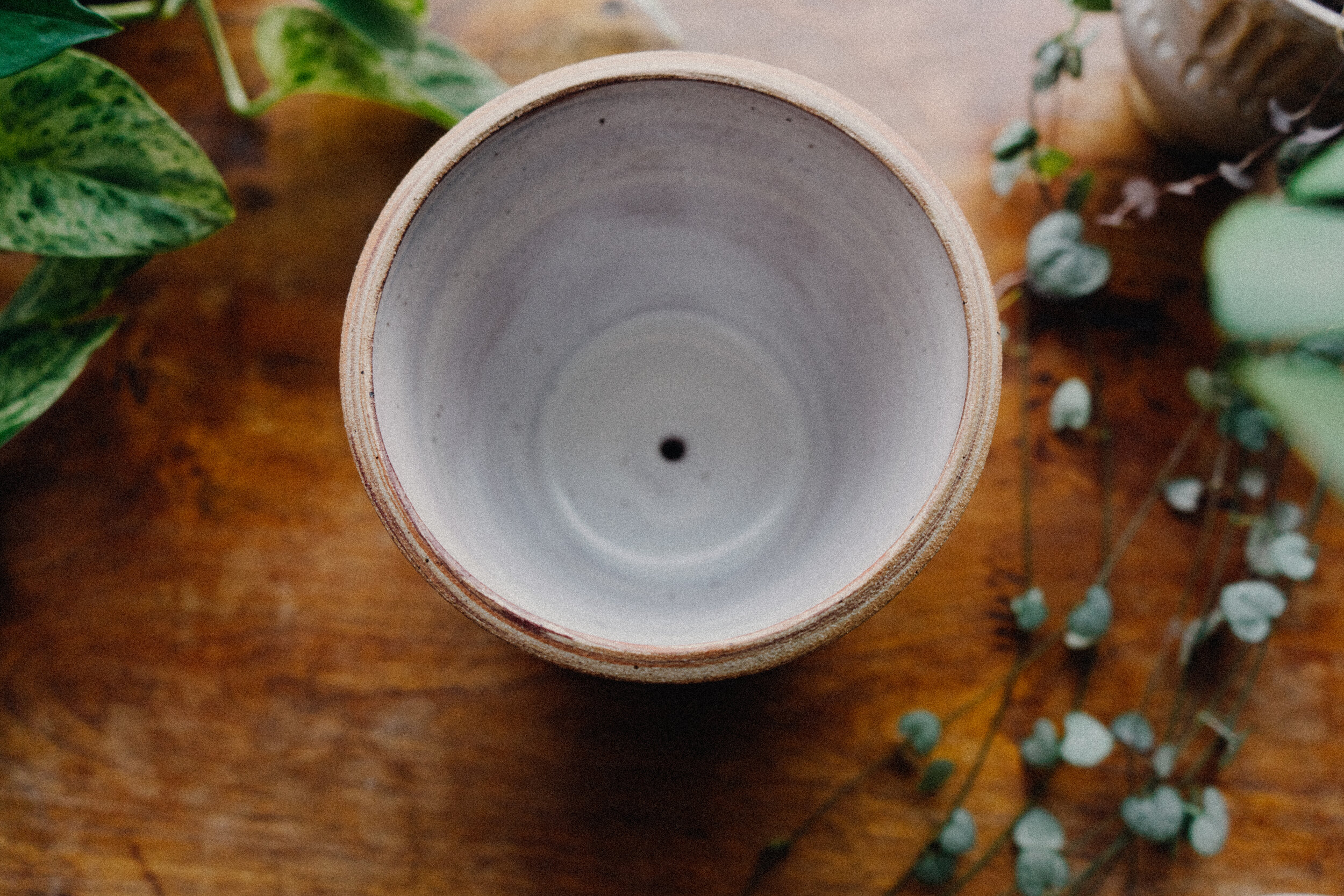 planter 5