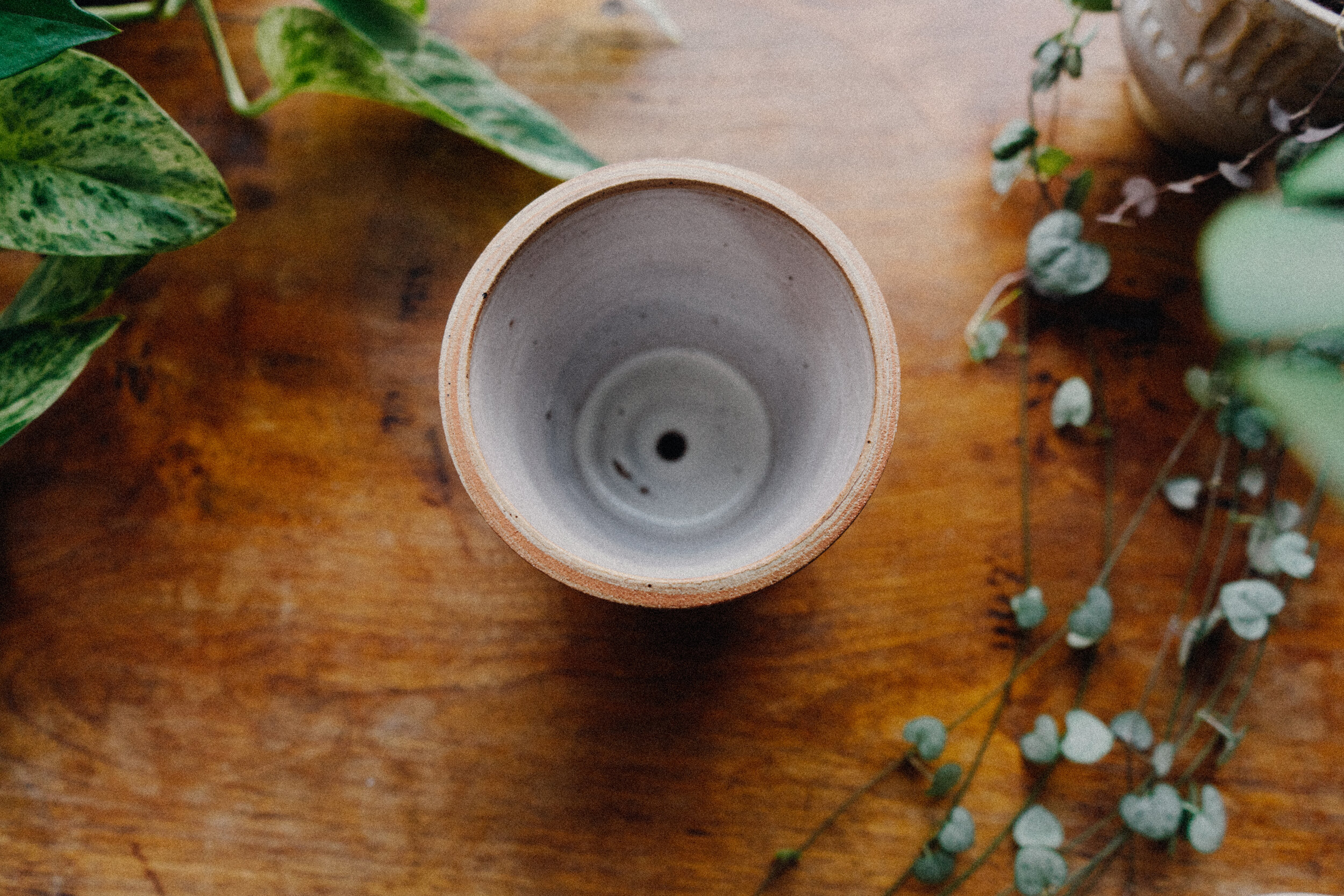 planter 7