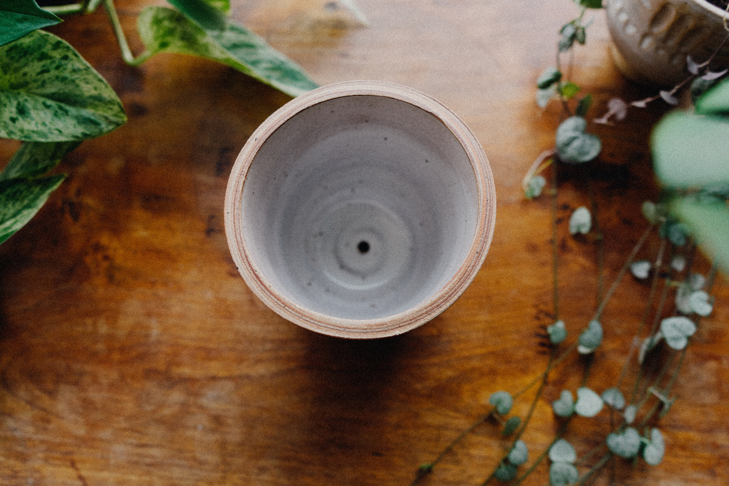 planter 8