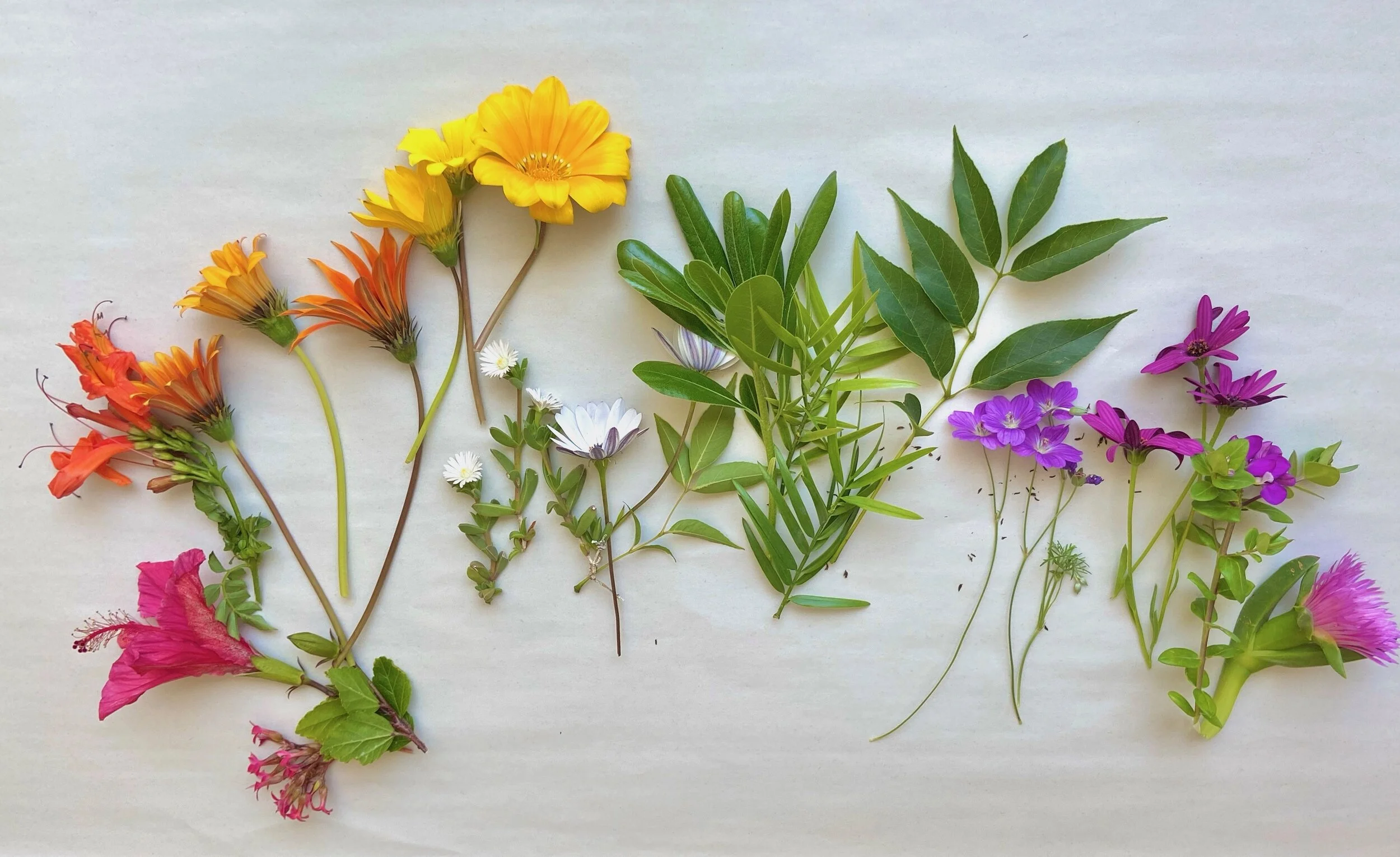 Twelve Months Of Earth Day