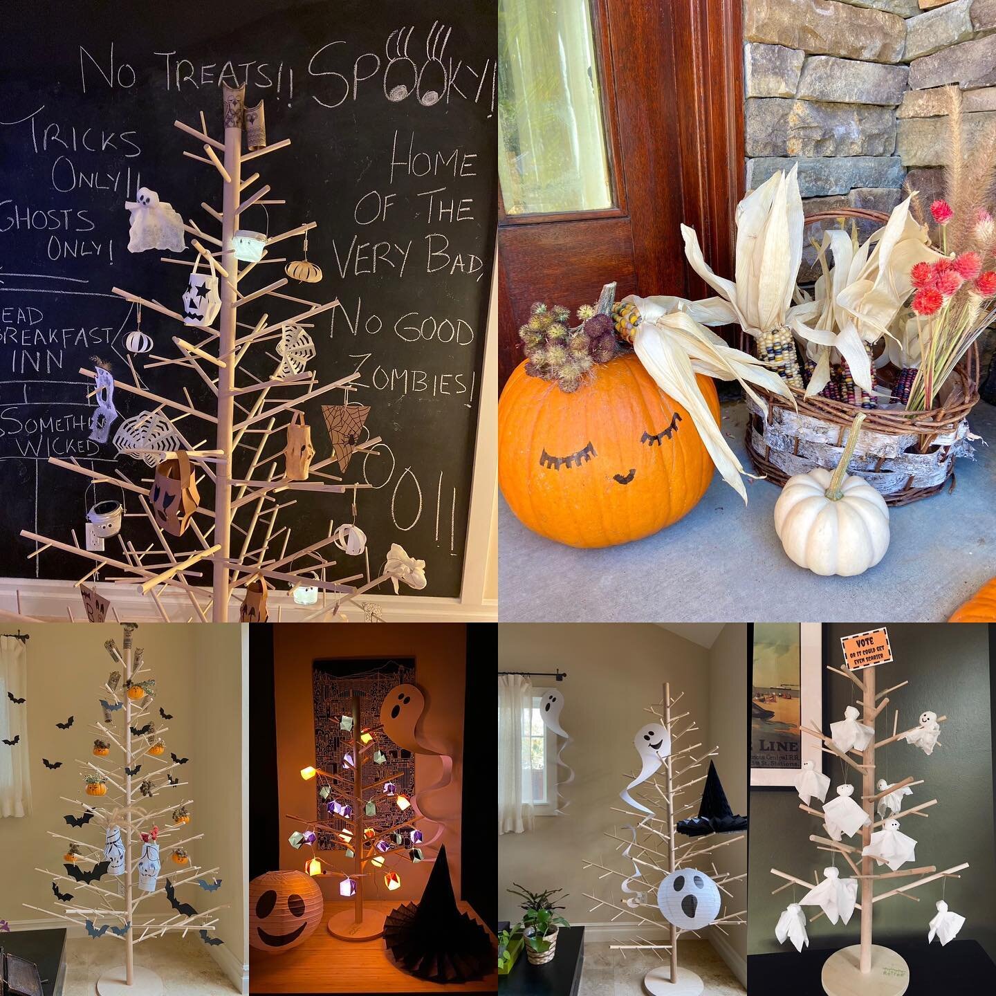 &lsquo;Tis the day .. ghostly creatures visiting already 👻💀 are you ready?? #happyhallowween #onlypaper #onlyplants #halloween #sustainablehalloween #halloweendecor #halloween2023 #retreejoy #alternativechristmastree