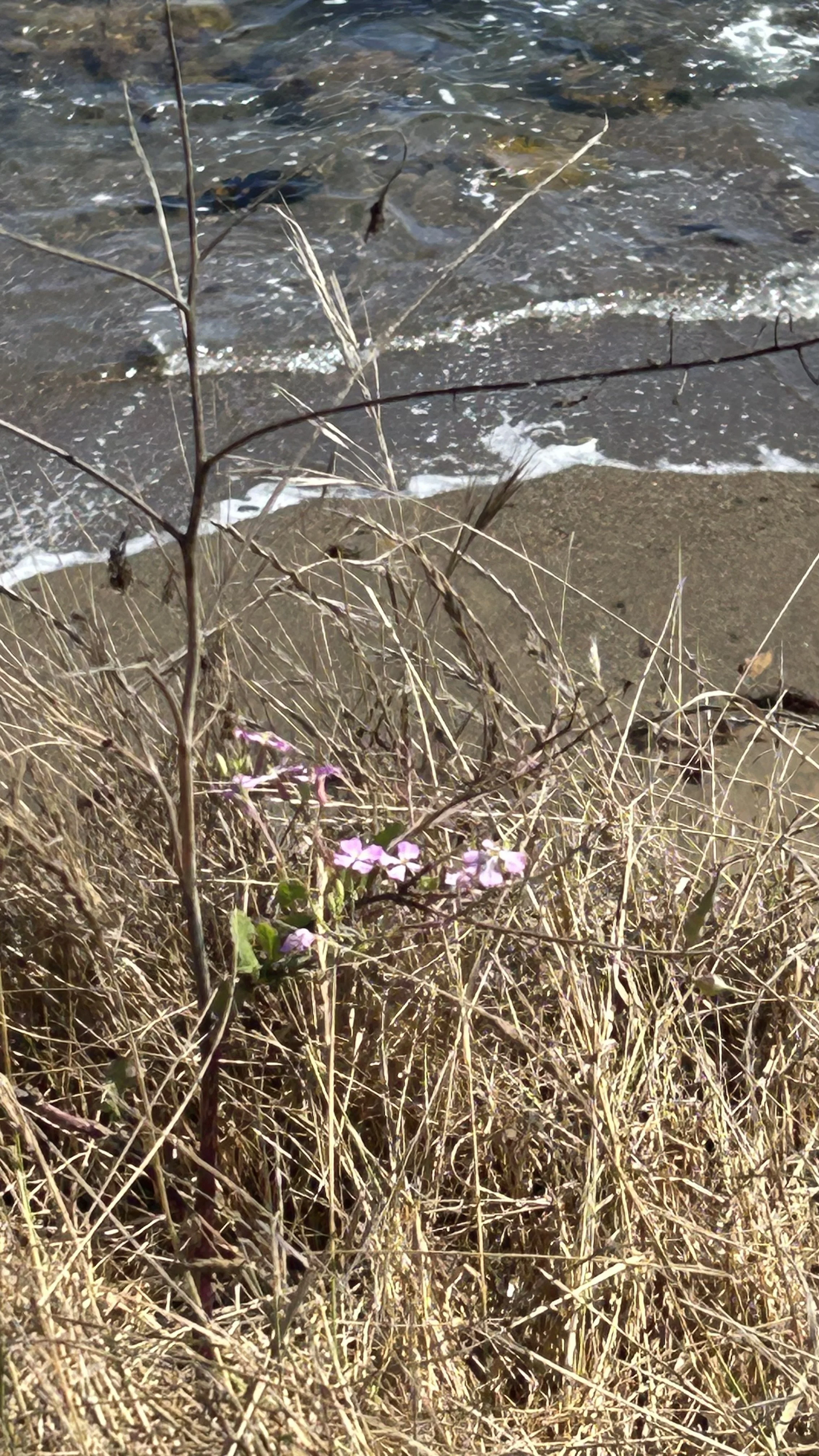 Beauty in the Brokenness