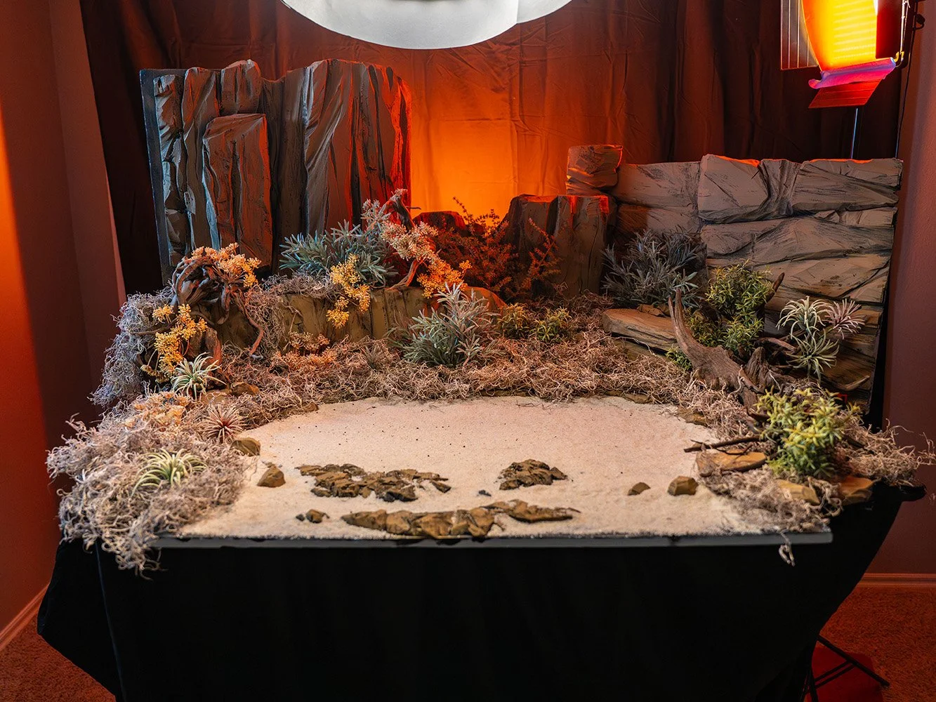 BTG_BTS_Diorama-01.jpg