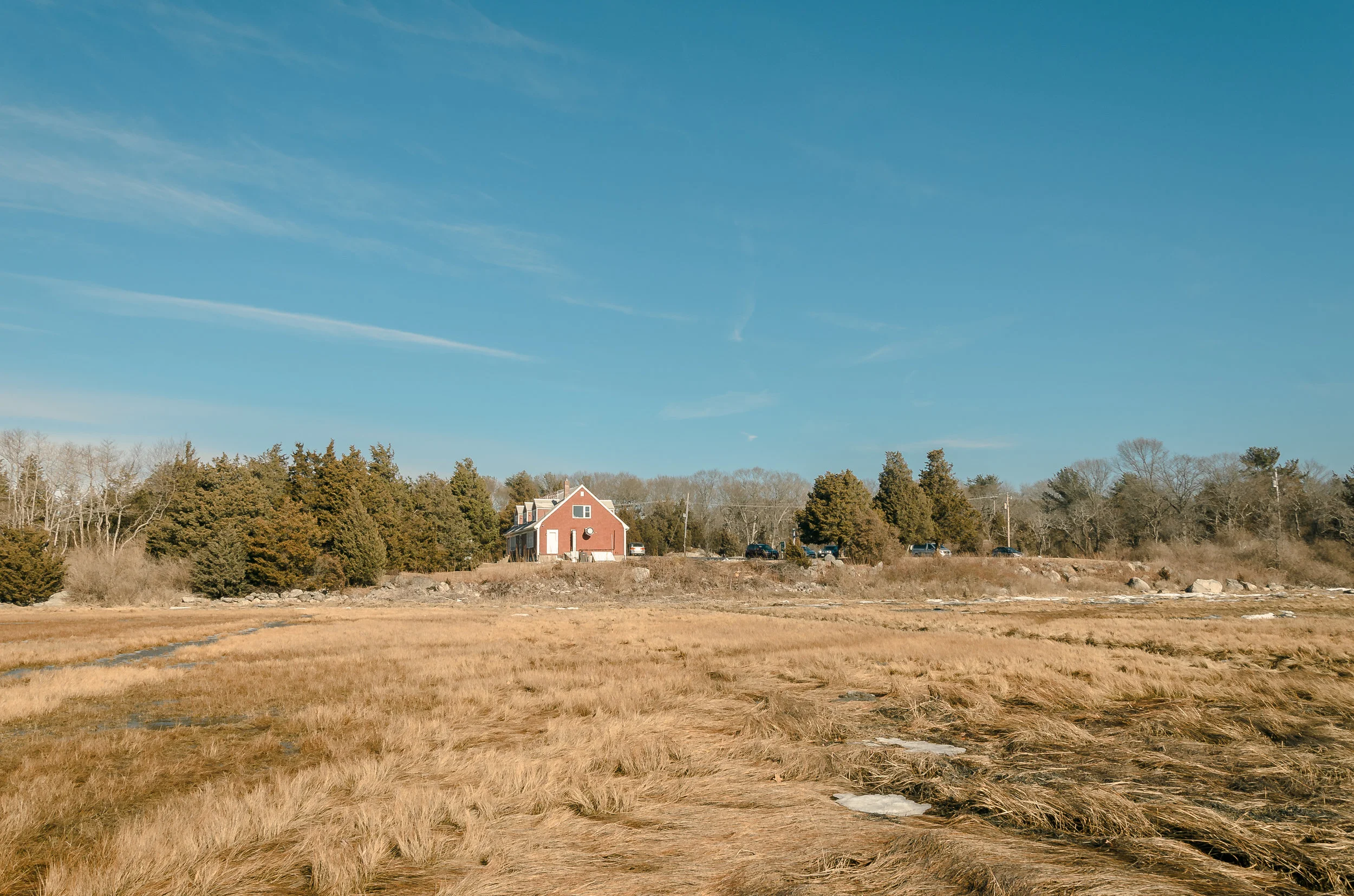 _D707440.JPG