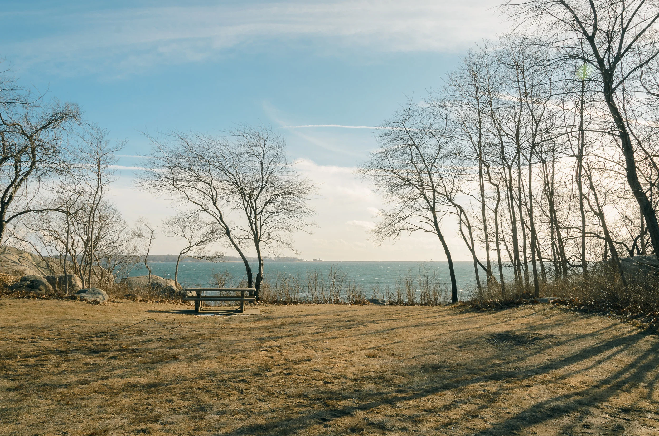 _D707575.JPG
