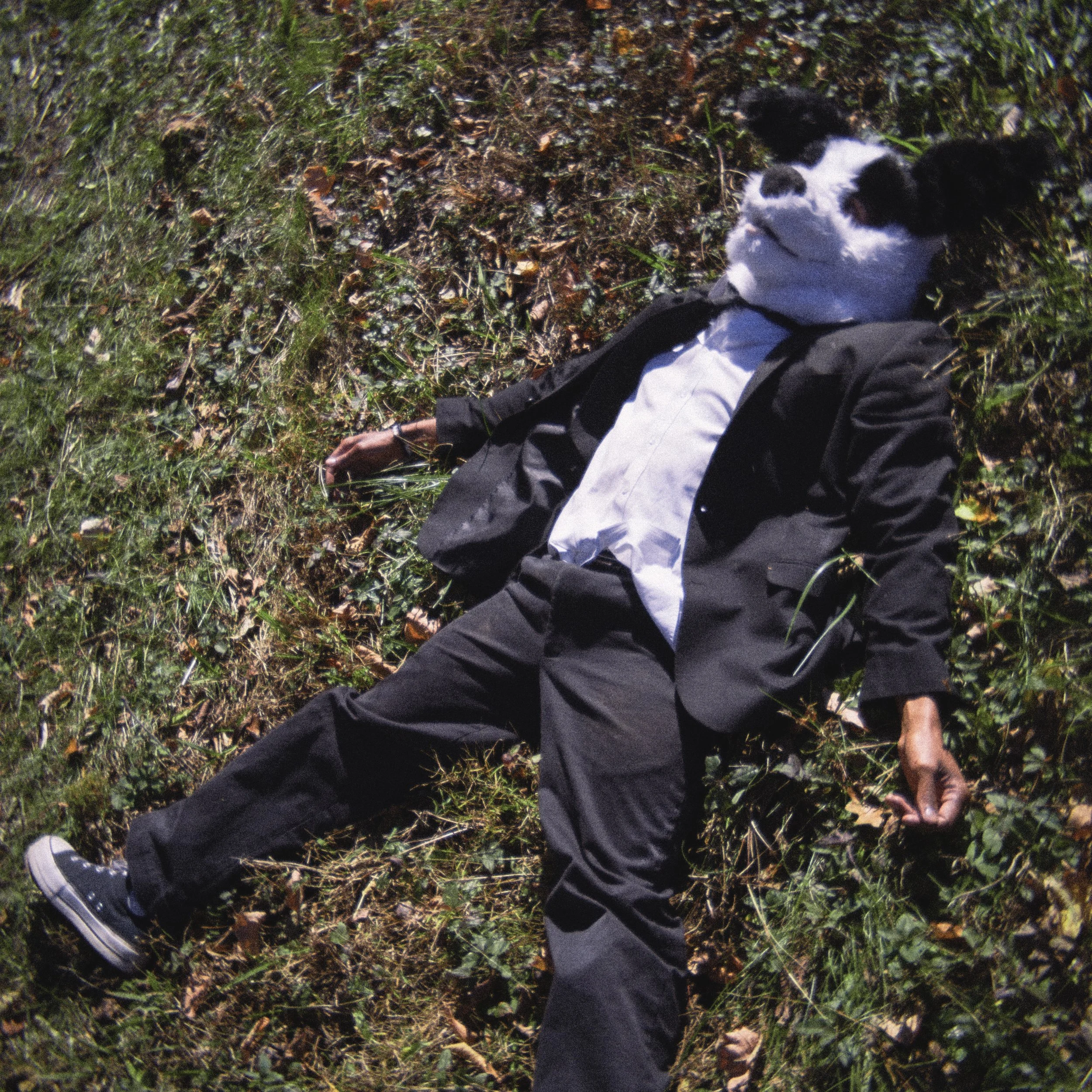 Seth Witcher Party Animal.jpg