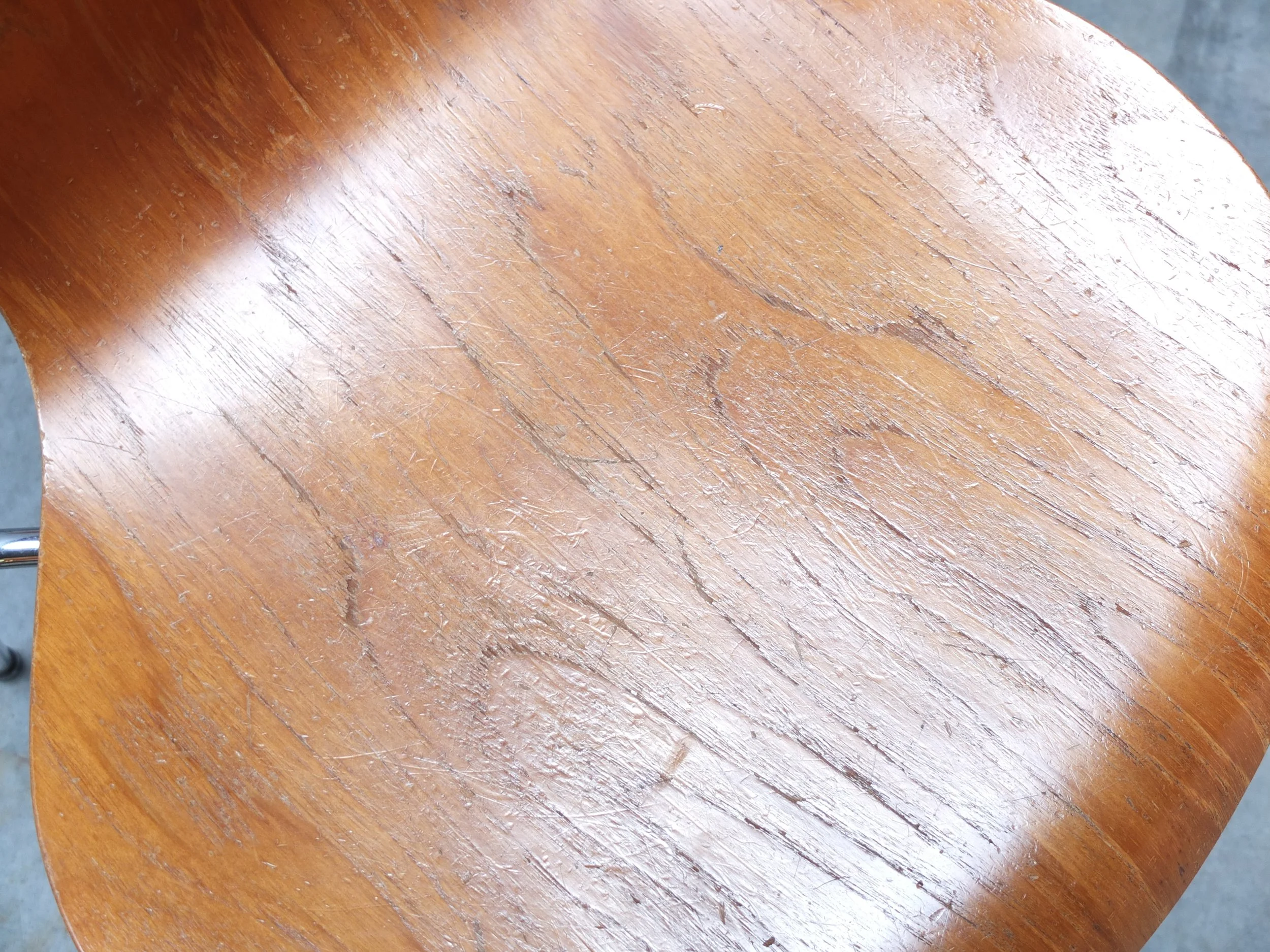 DSCF5330.JPG