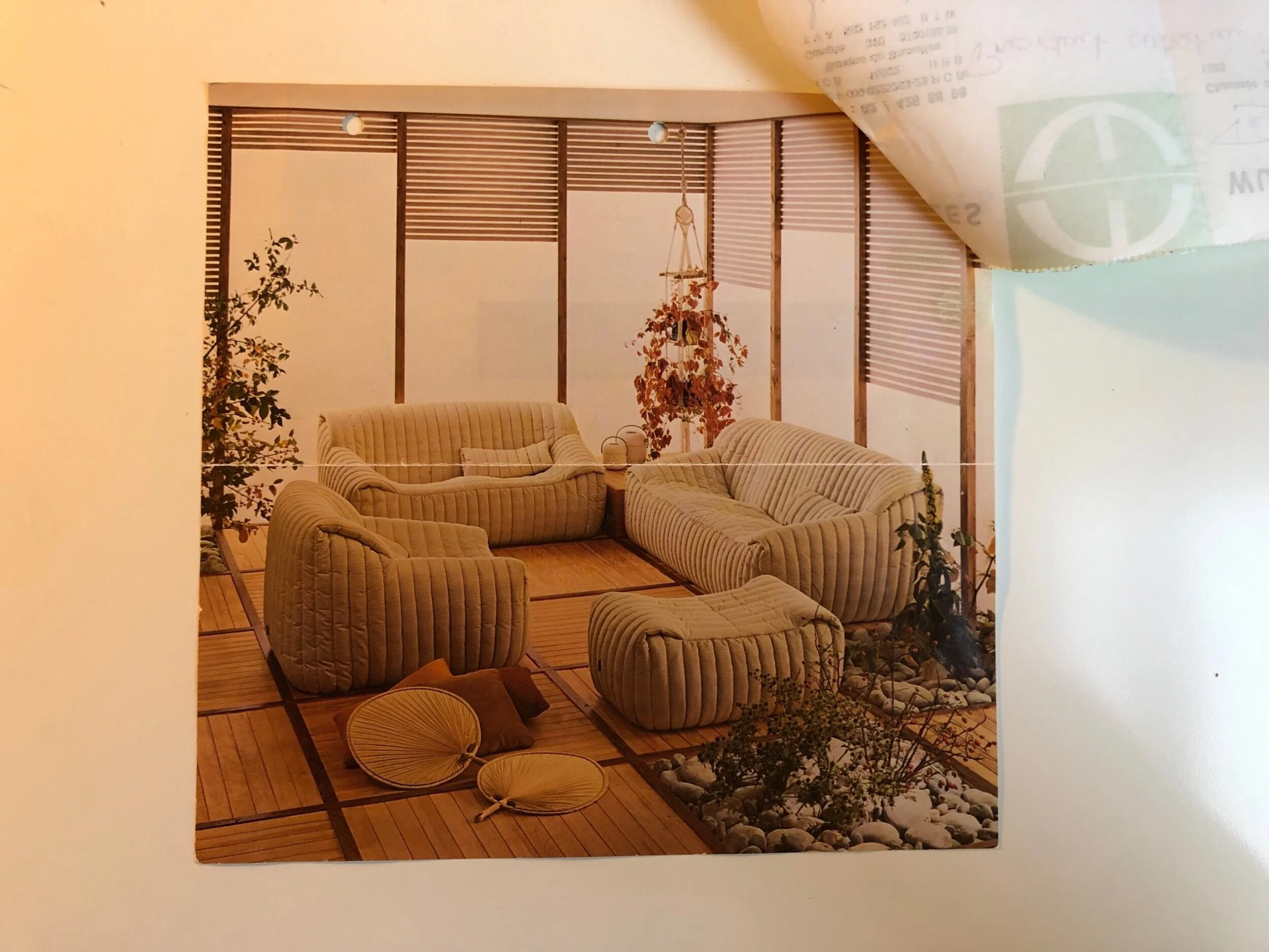 019A356F-EB23-4064-A5AF-4B49A1AA9853