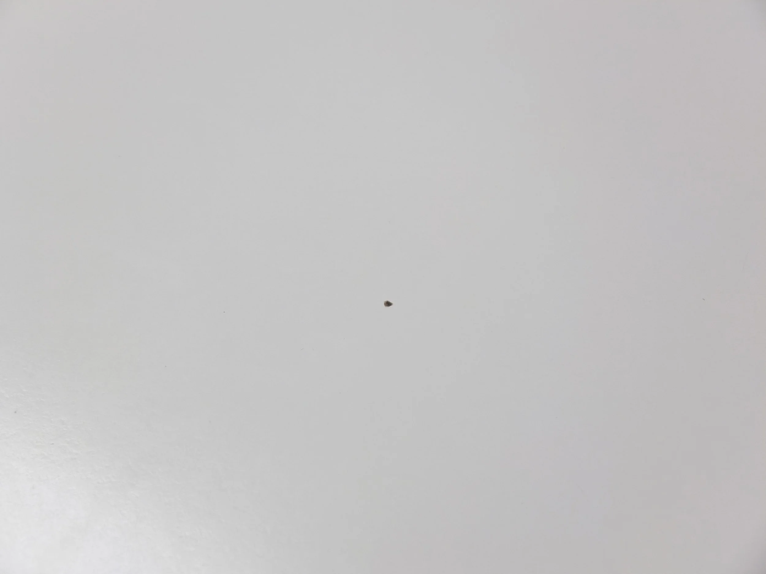 DSCF5864.JPG