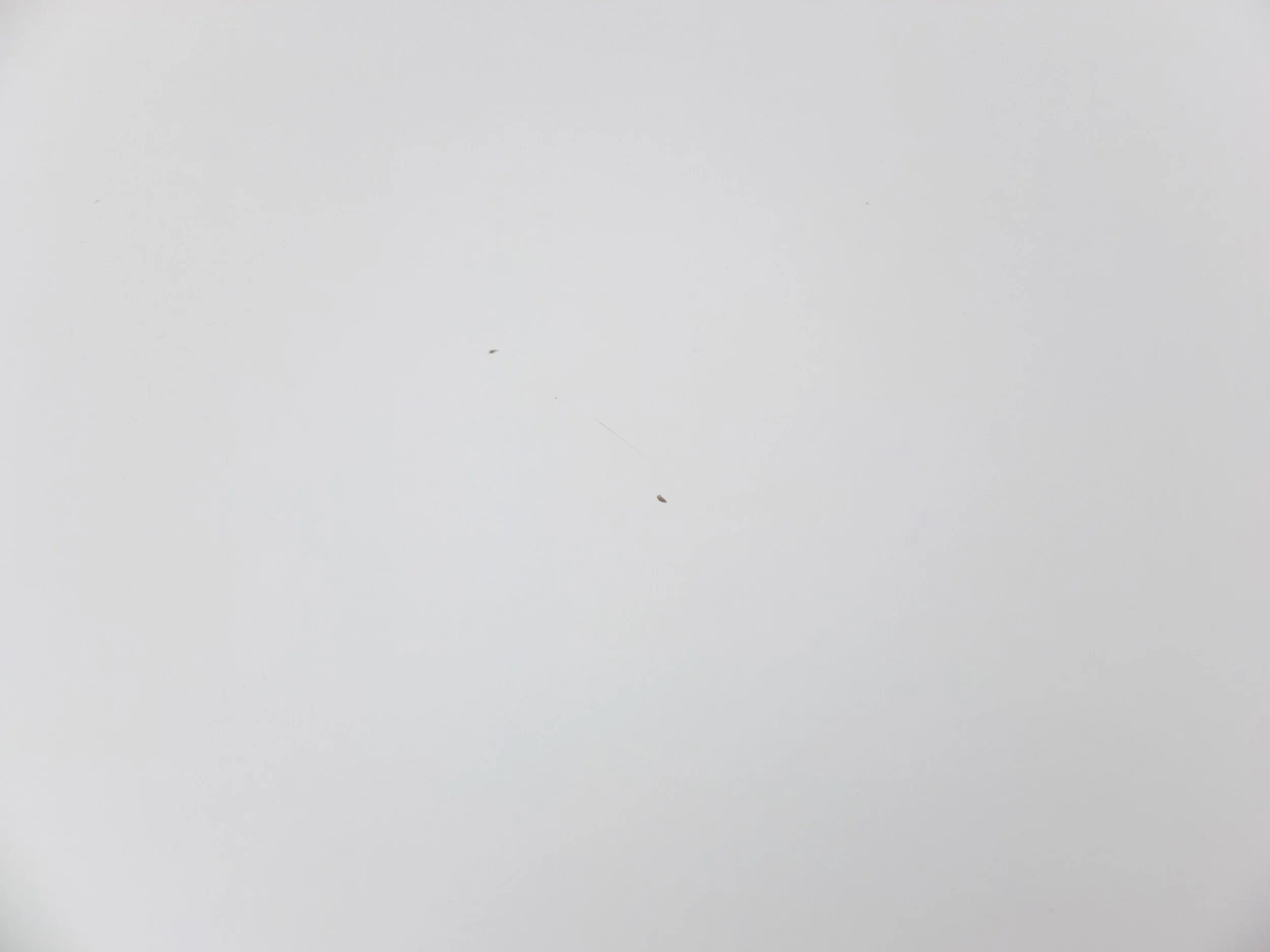 DSCF5862.JPG
