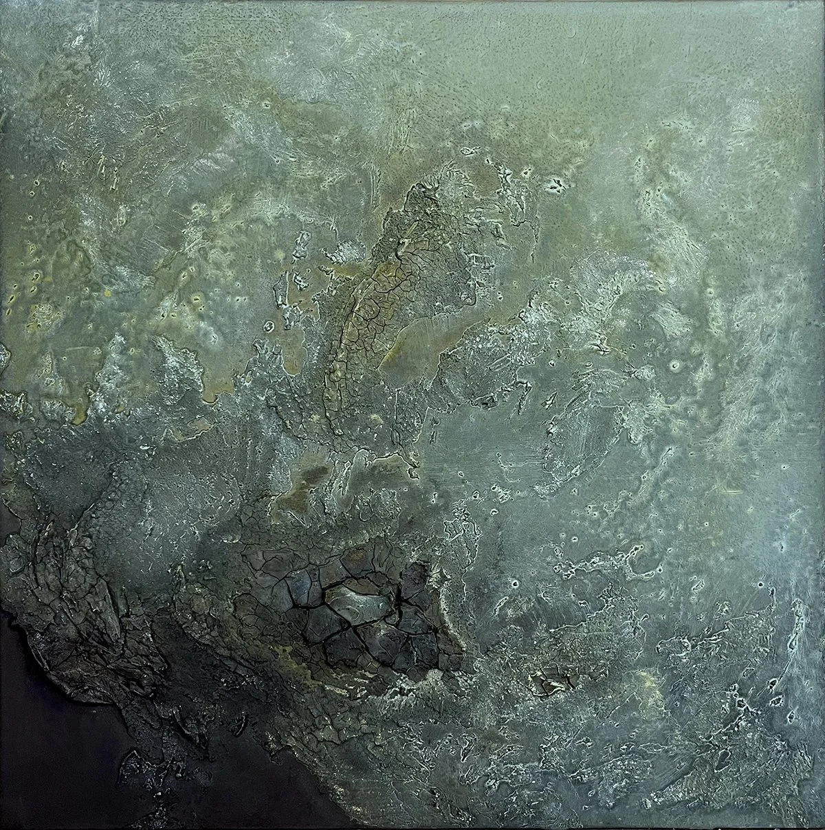  Patient Jeweller 24” x 24” Plaster, acrylic, oil, sand $2400 