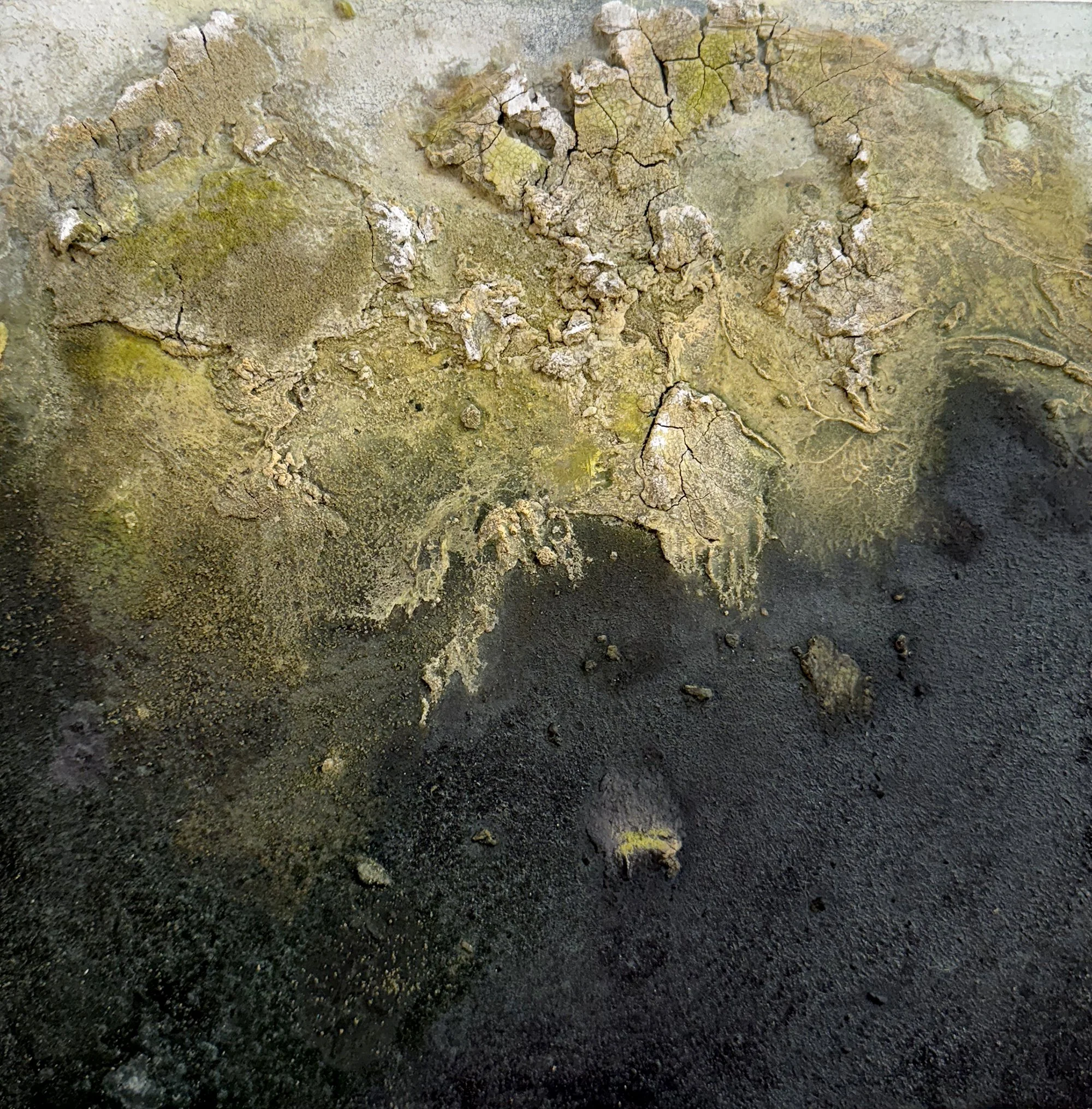  Jealousy 14” x 14” Plaster, acrylic, oil, sand $650 