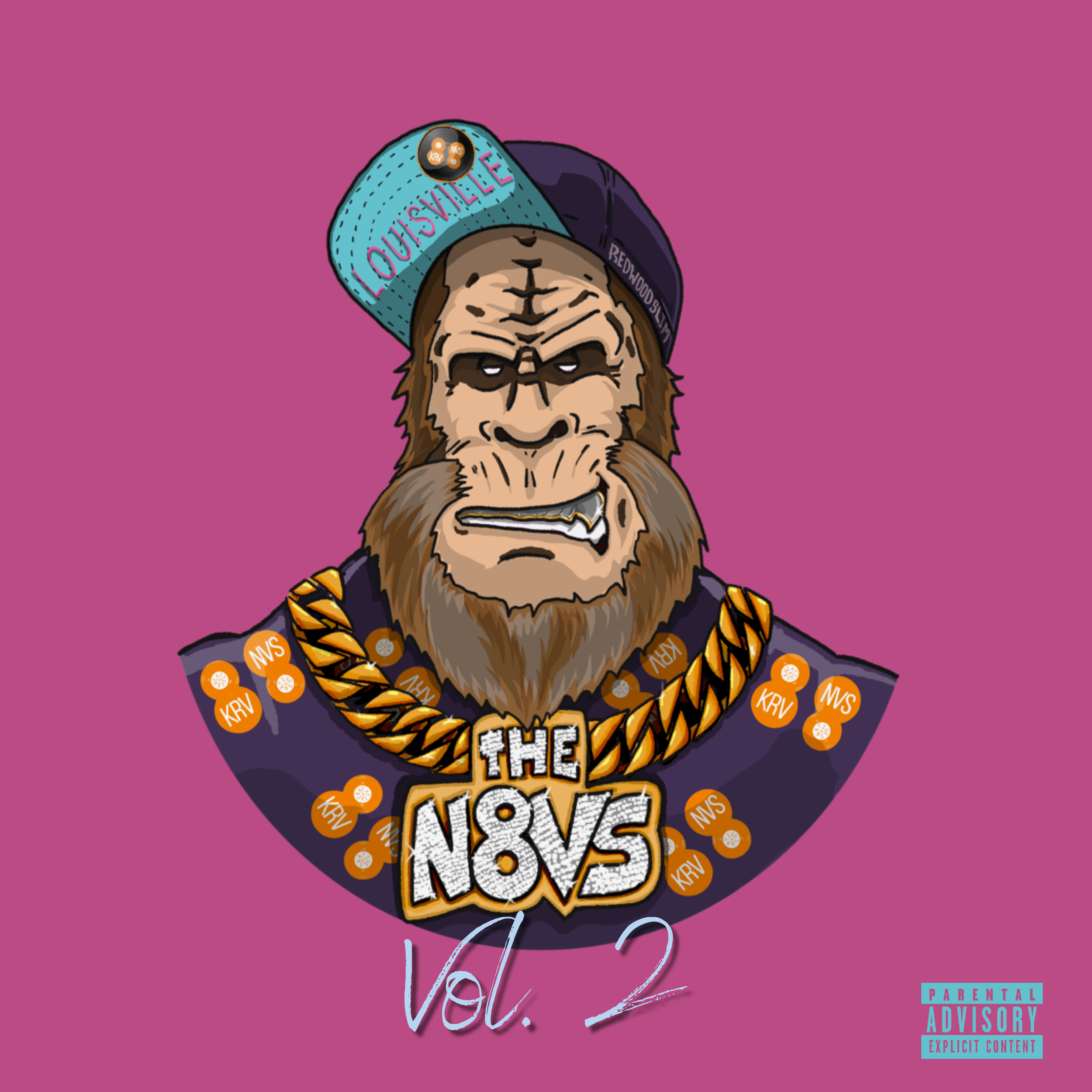 The N8VS Vol 2. CD