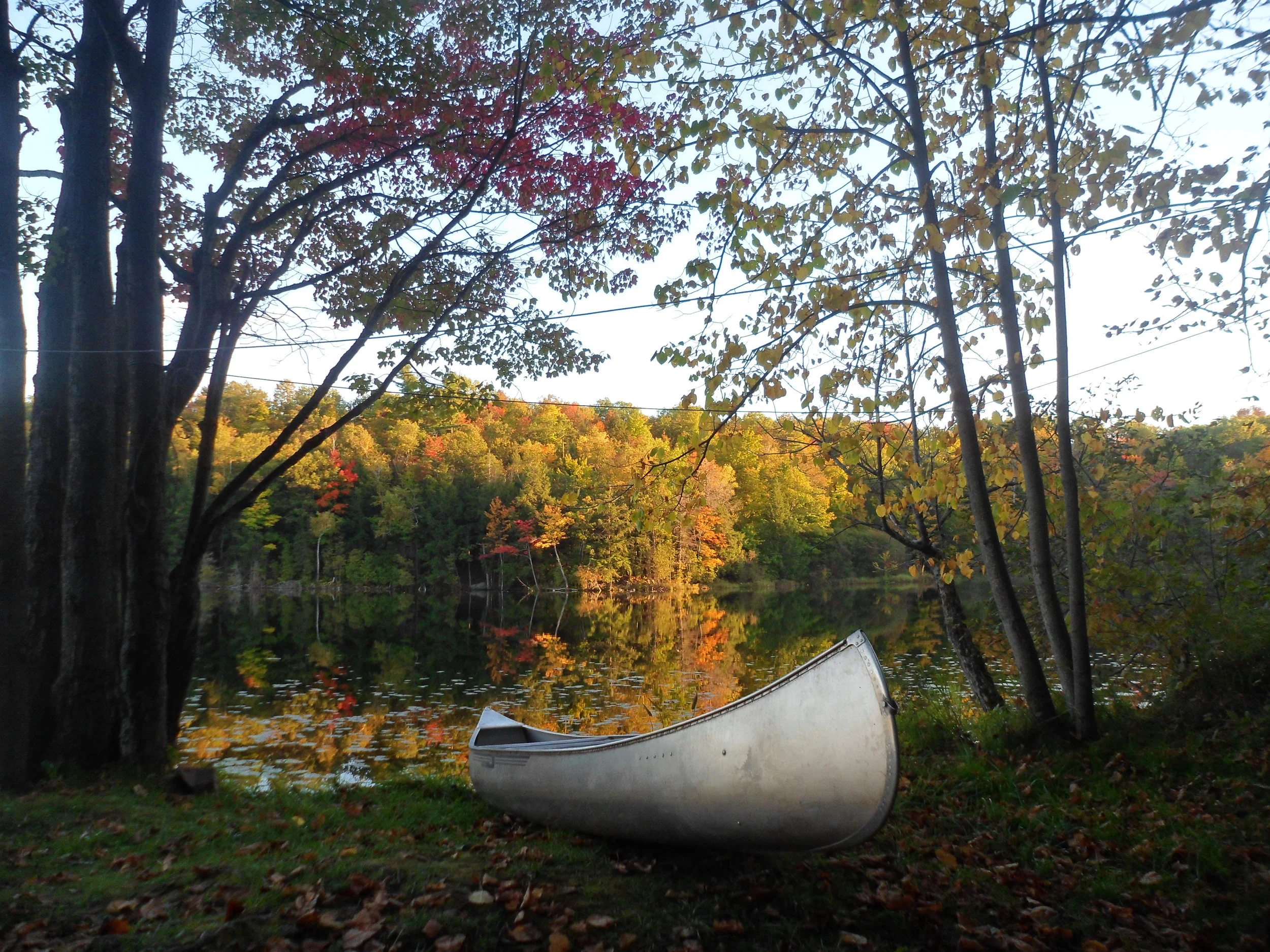 Sharbot Lake Sep 2014.JPG