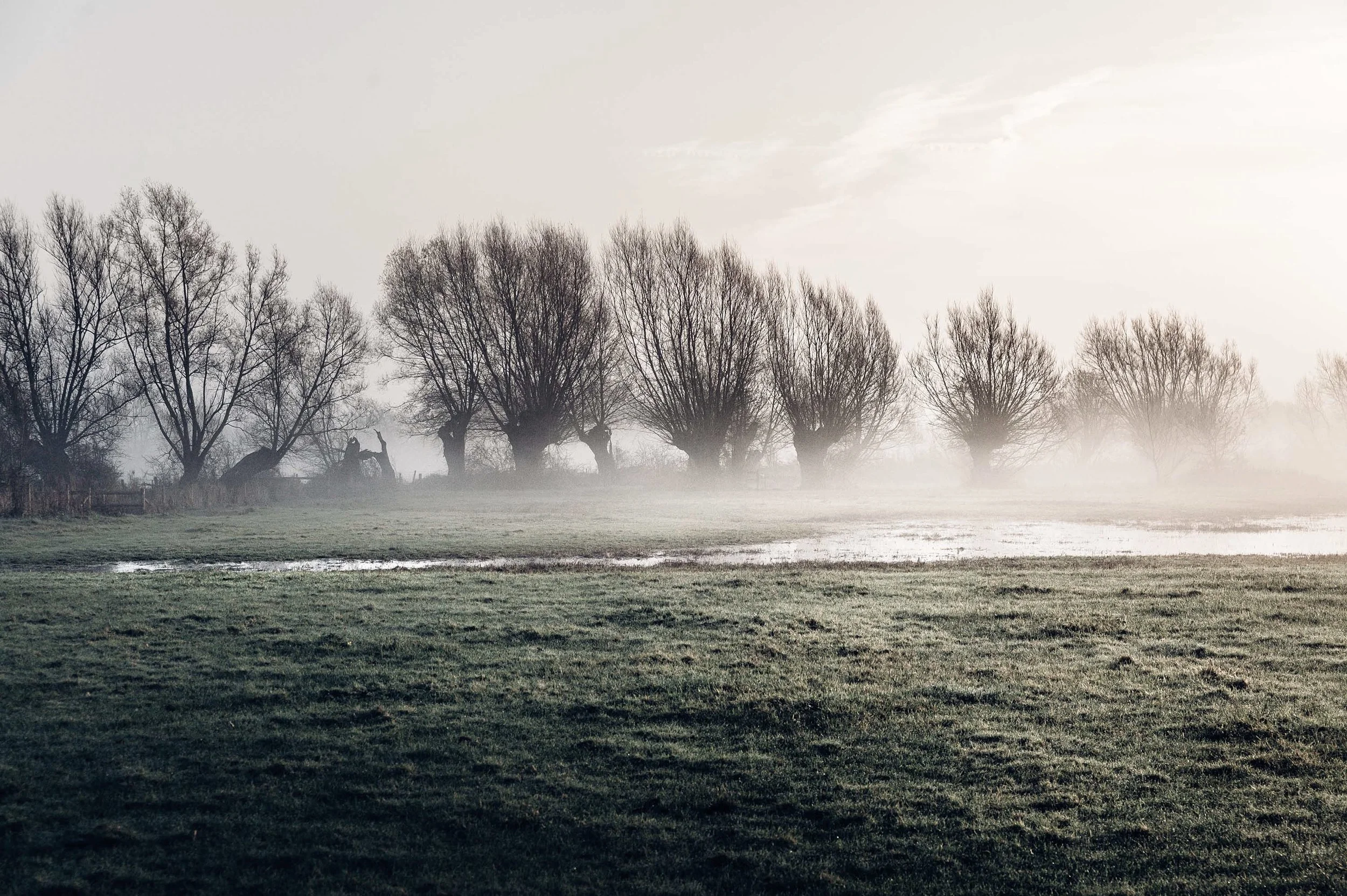 Flood Plain of the River Severn - Gloucestershire, England (2014)