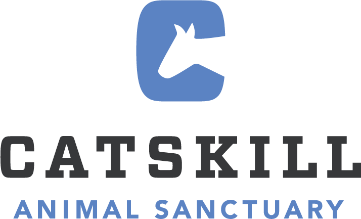 Catskill Logo .png