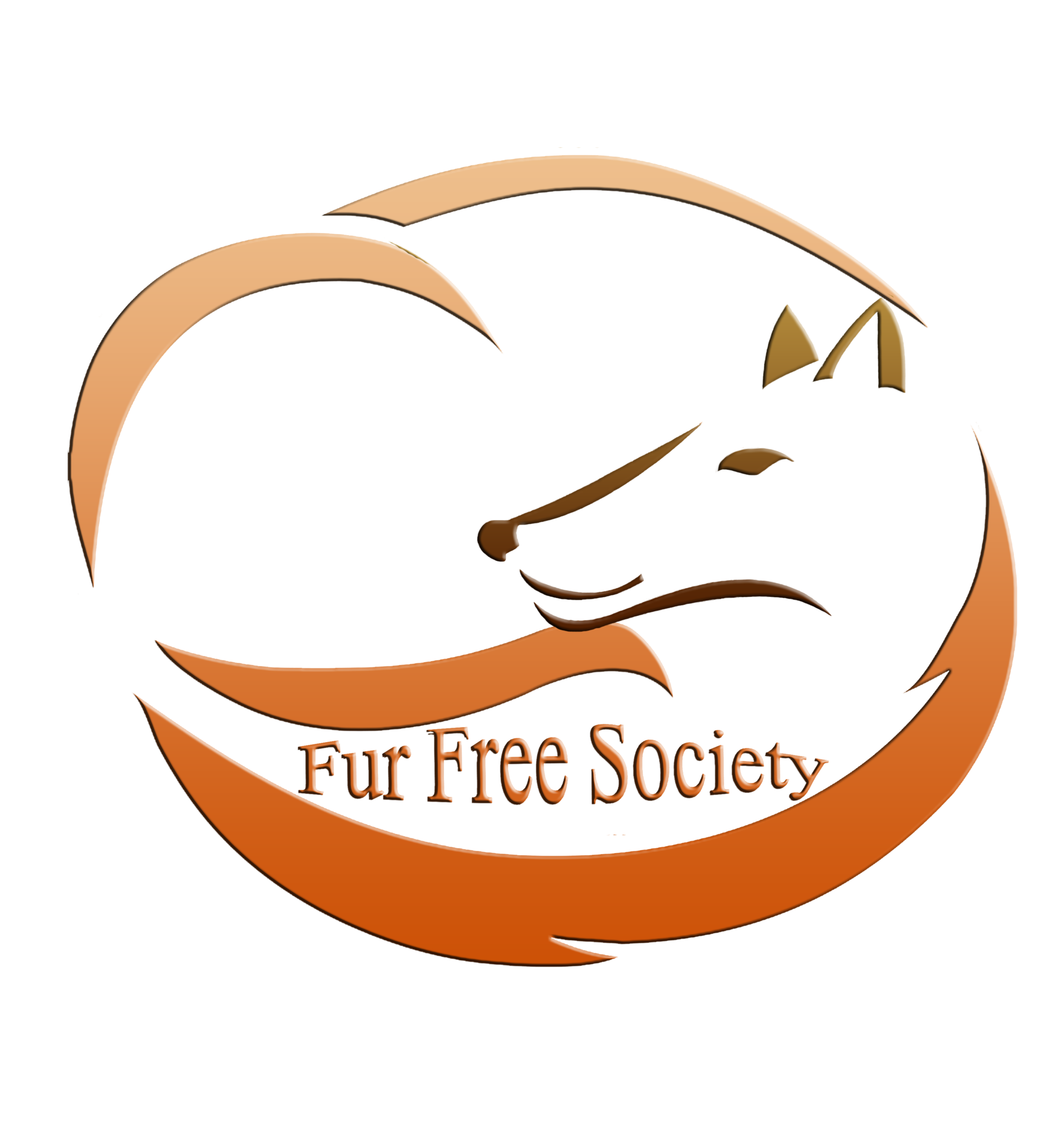 FFS logo (1).png