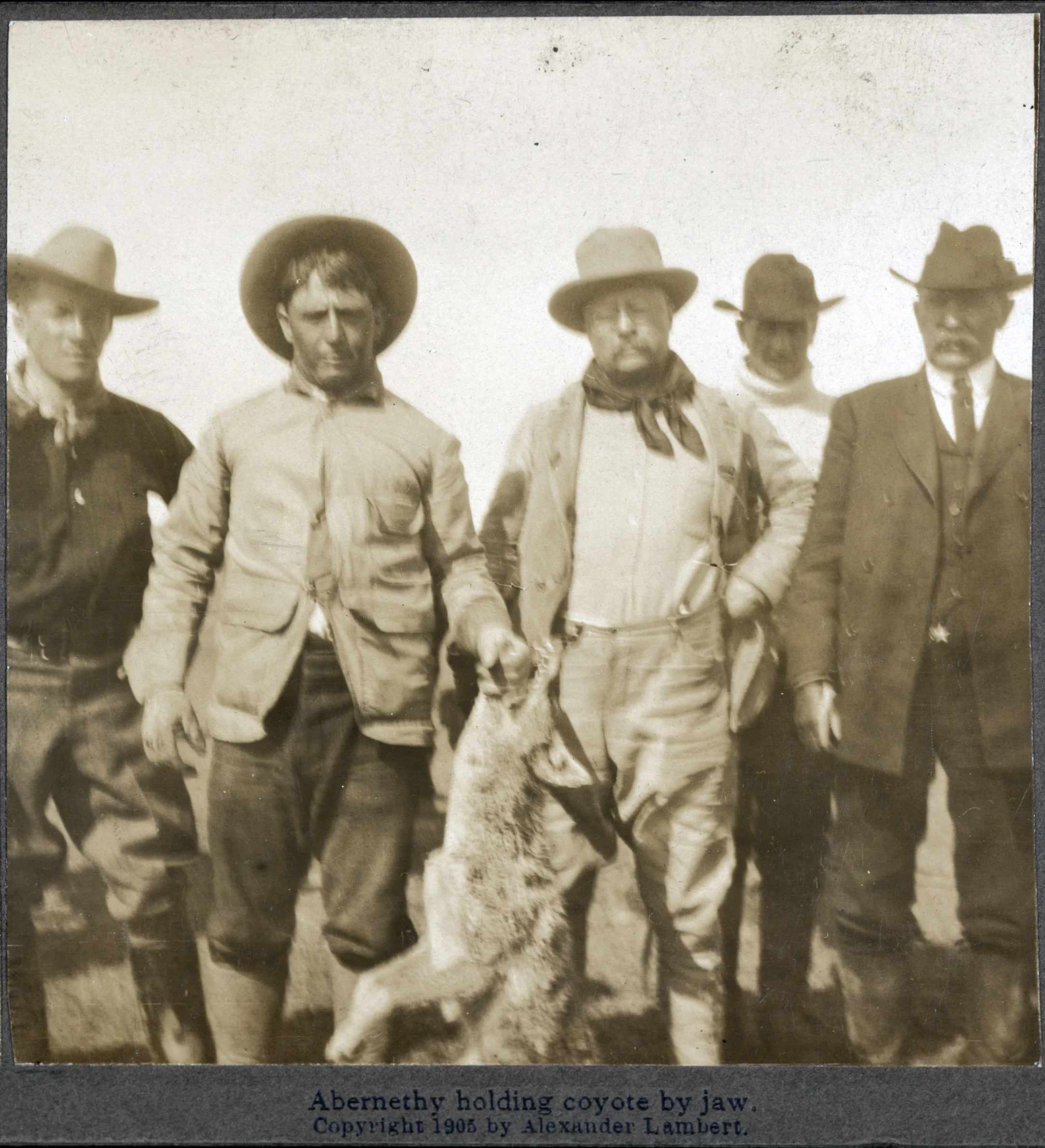 US President Theodore Roosevelt accompanied John R. Abernethy and others on a hunt in southern Oklahoma Territory. 1905, Library of Congress and Dickinson State University.
