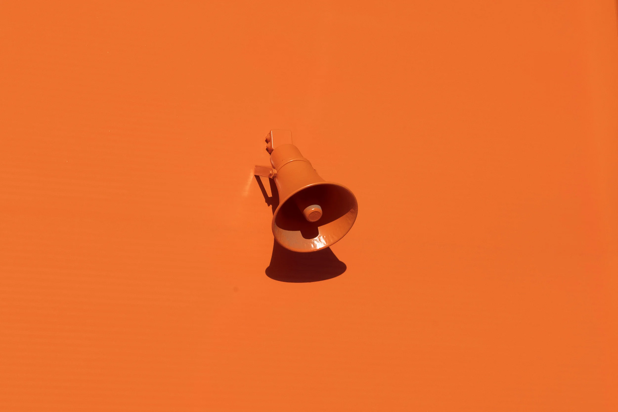 WHAT FASHION INSIDERS SAY