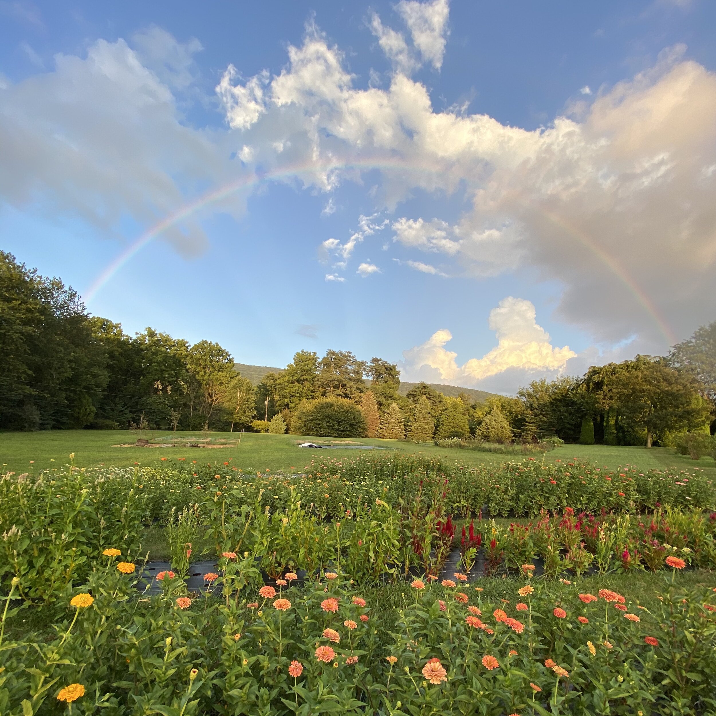 Whispering Flower Farm