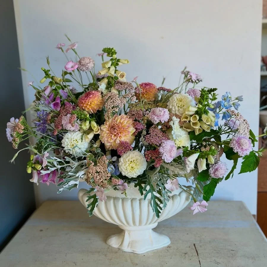 Flower fields look so different now that our summer flowers are blooming! Our over-wintered dahlias are proving why they are divas, zinnias are showing their pretty faces, and Lisianthus are showing off their delicate layers of petals and long lastin